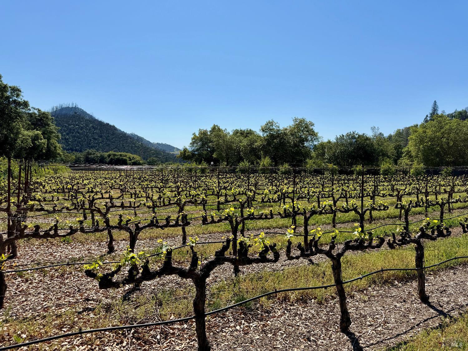 321 Dutch Henry Canyon Road