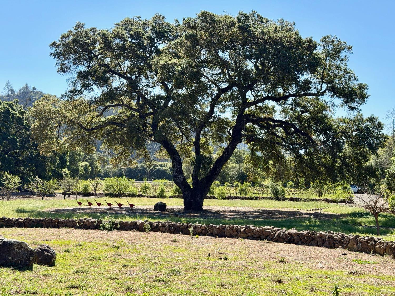 321 Dutch Henry Canyon Road