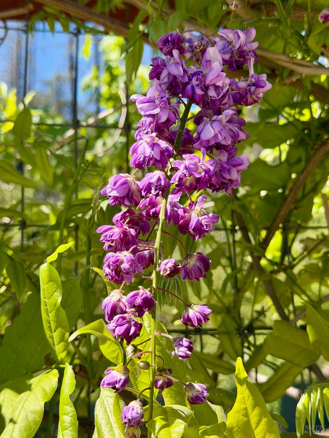 321 Dutch Henry Canyon Road