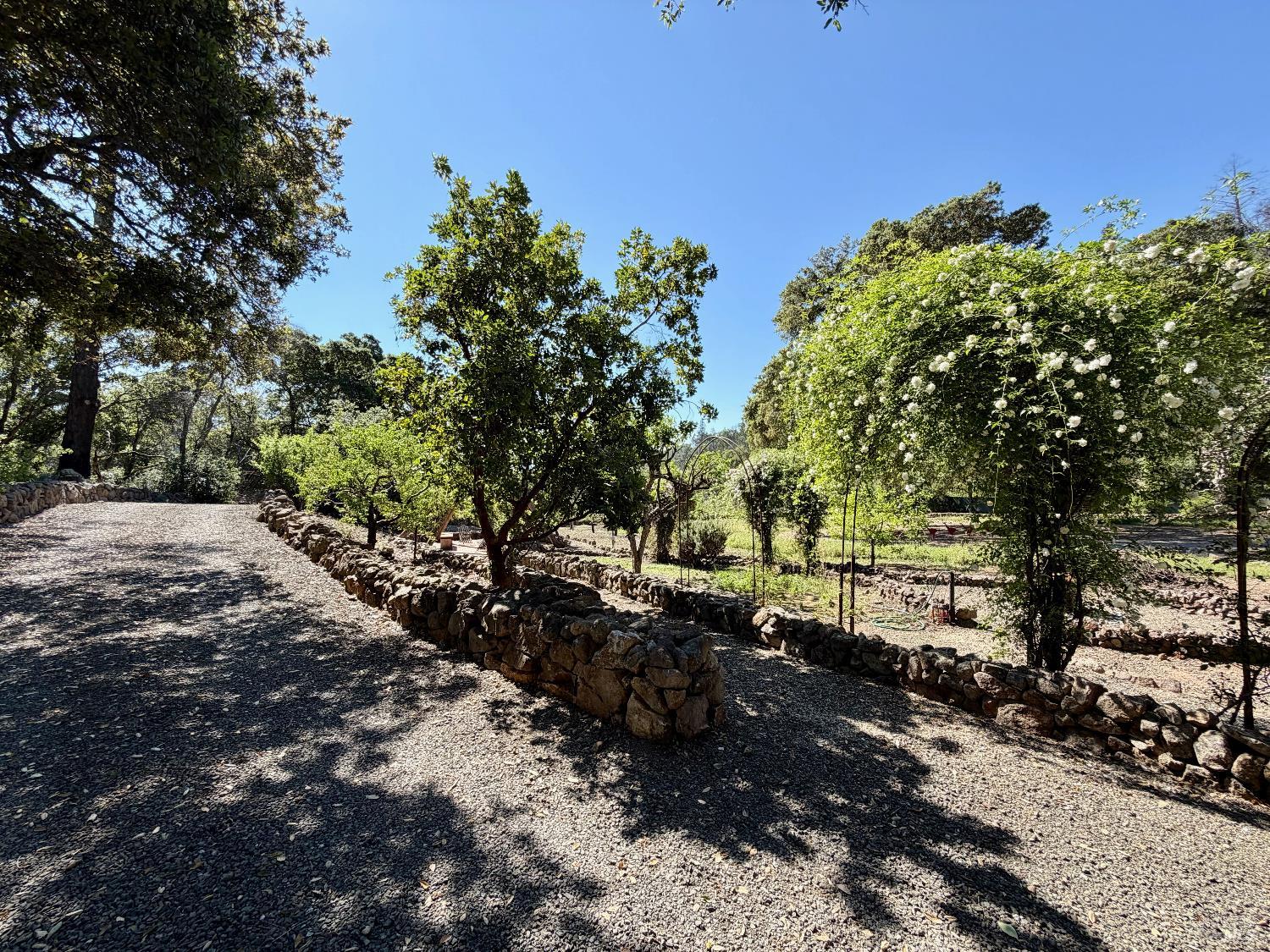 321 Dutch Henry Canyon Road