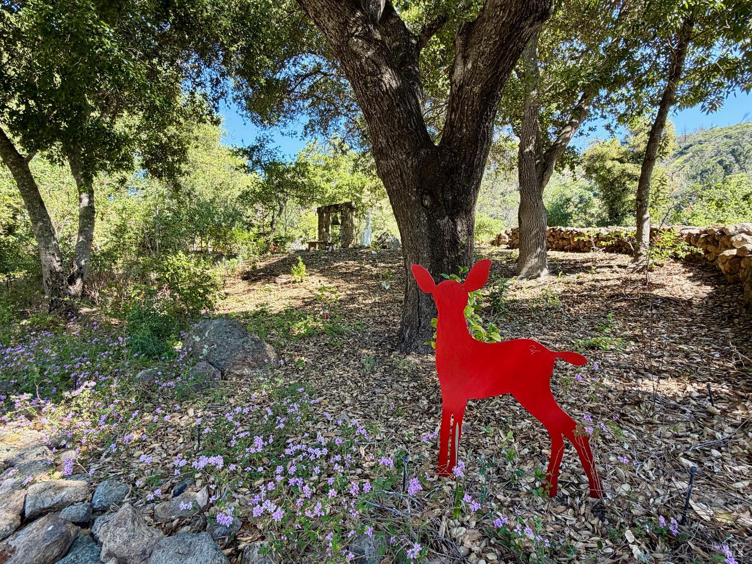 321 Dutch Henry Canyon Road