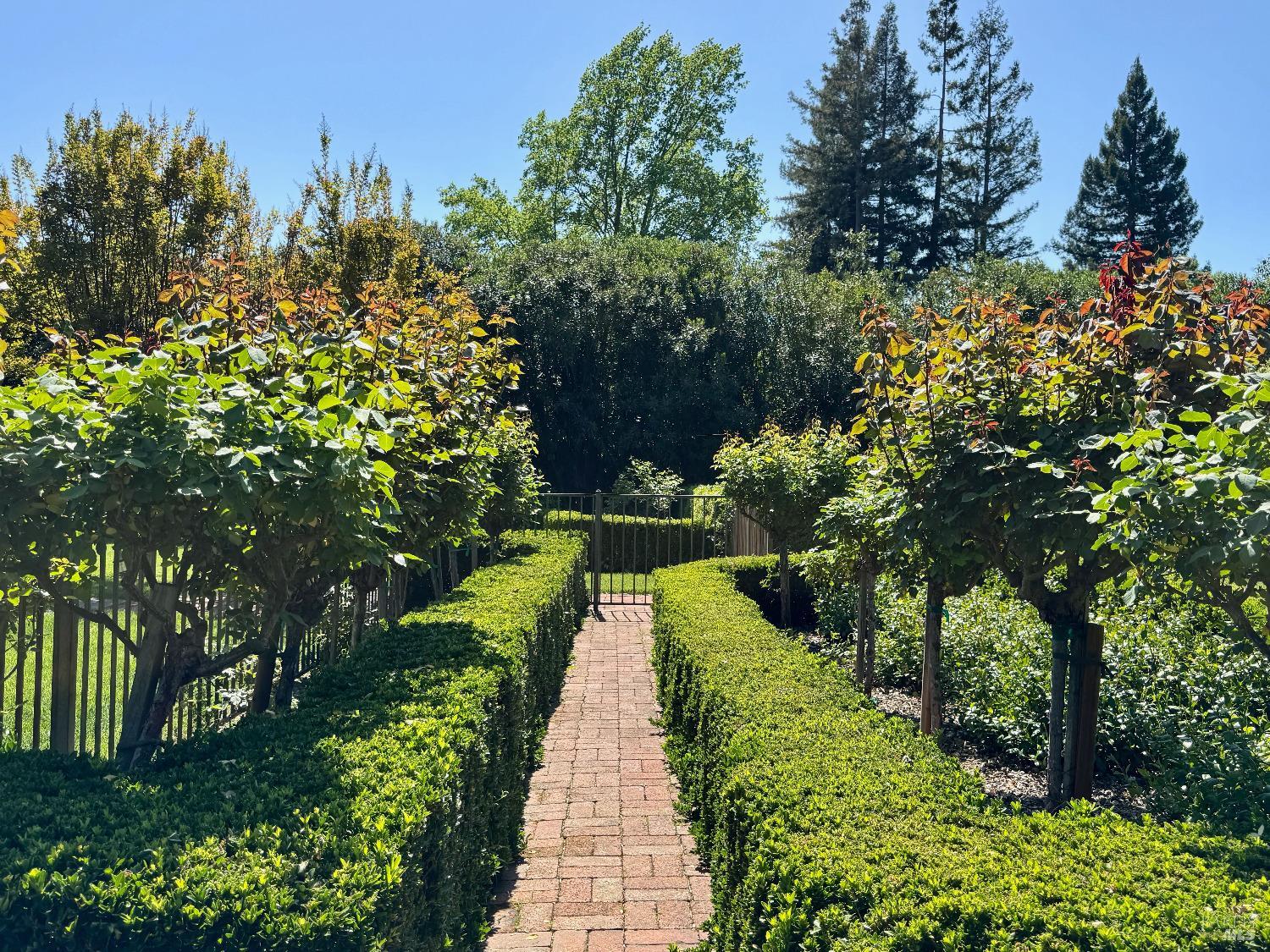1701 Zinfandel Lane