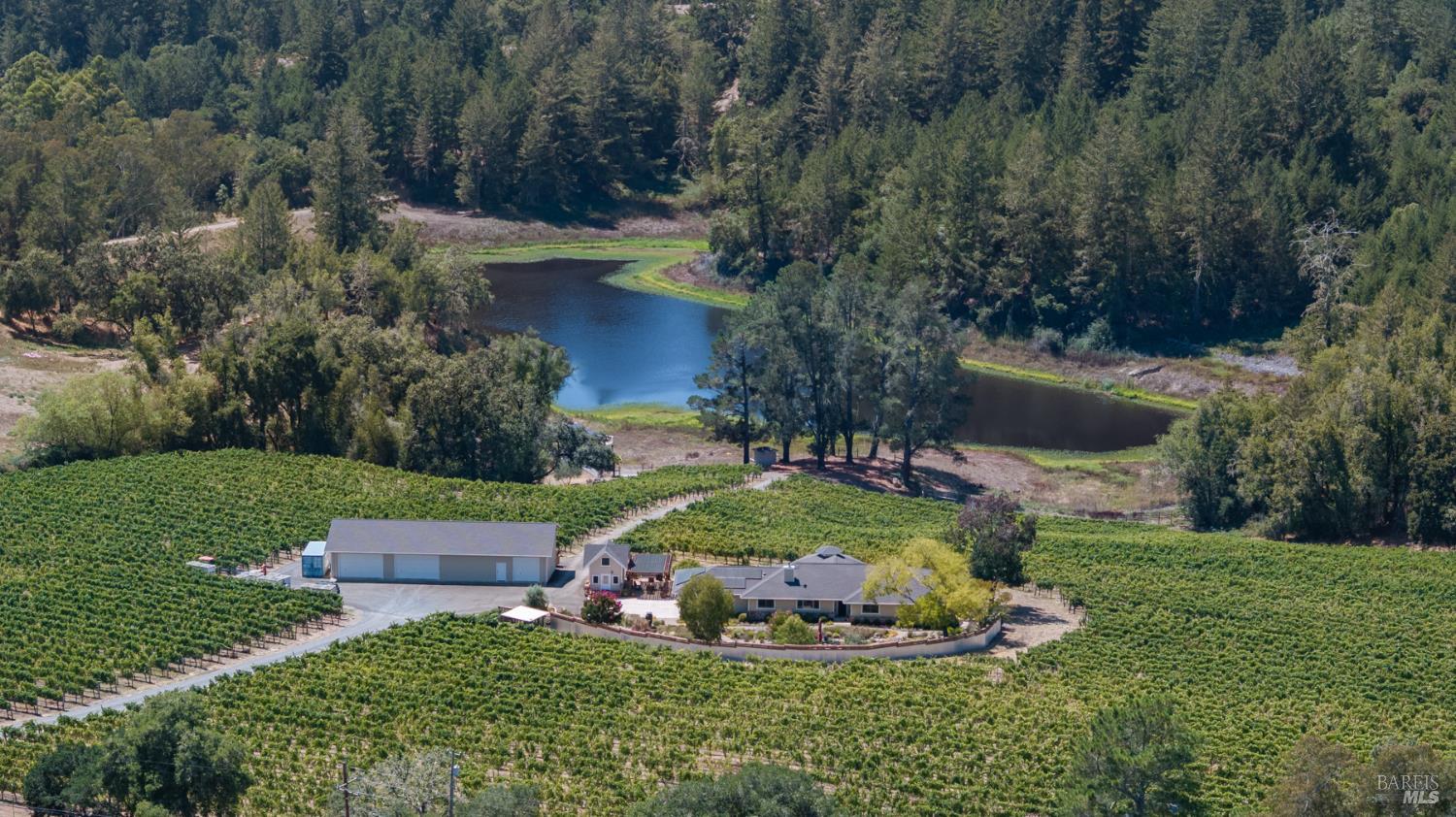 Vineyard property with a house and outbuildings beside a pond, surrounded by forested hills.