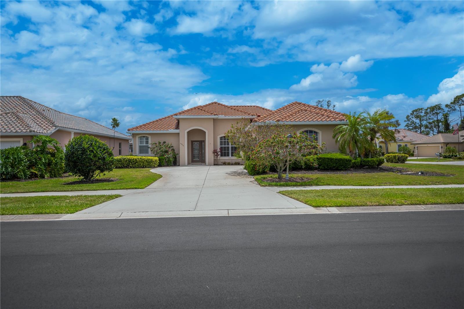 2996 PHOENIX PALM TER