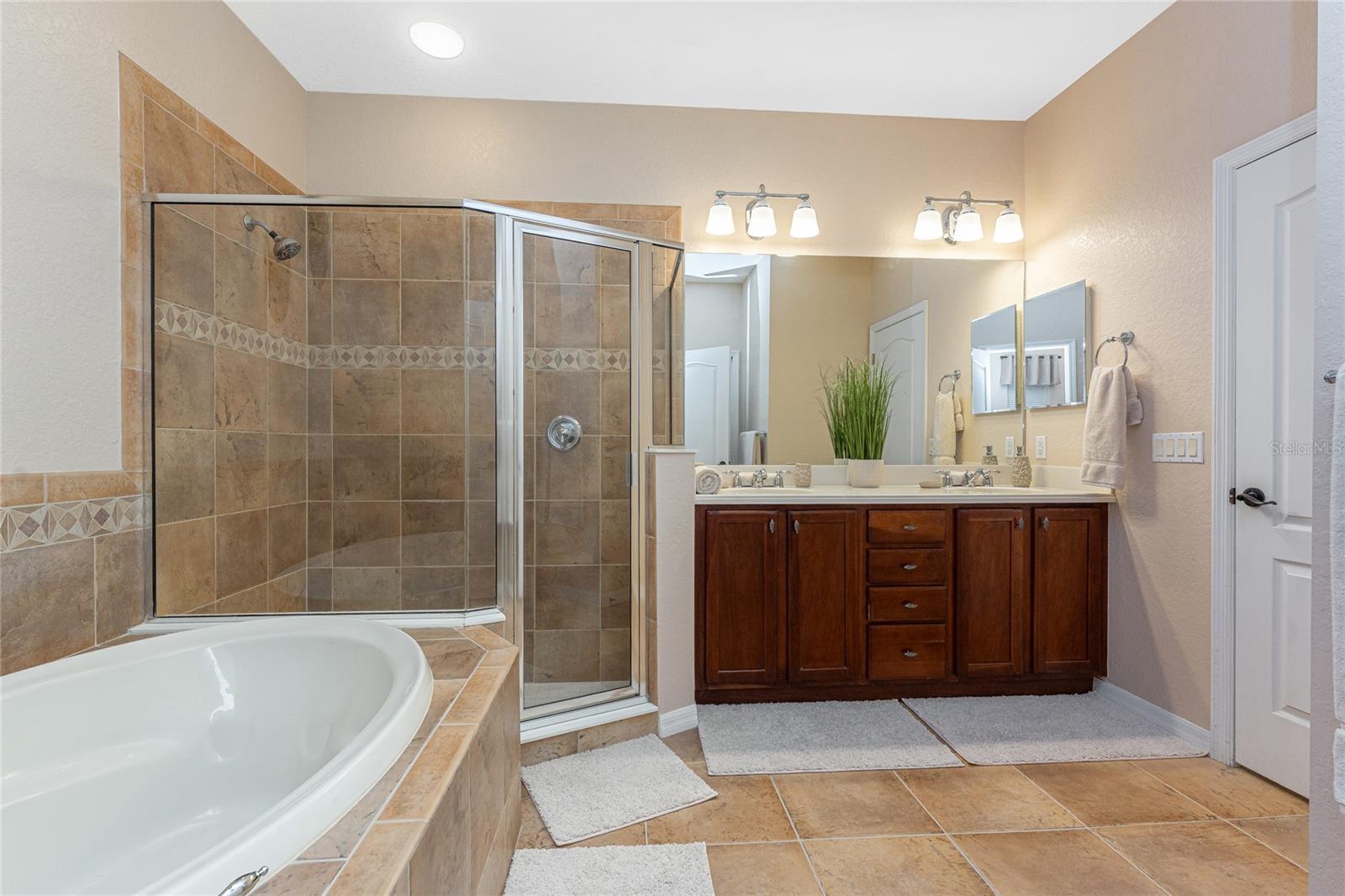 11343 DANCING RIVER DR