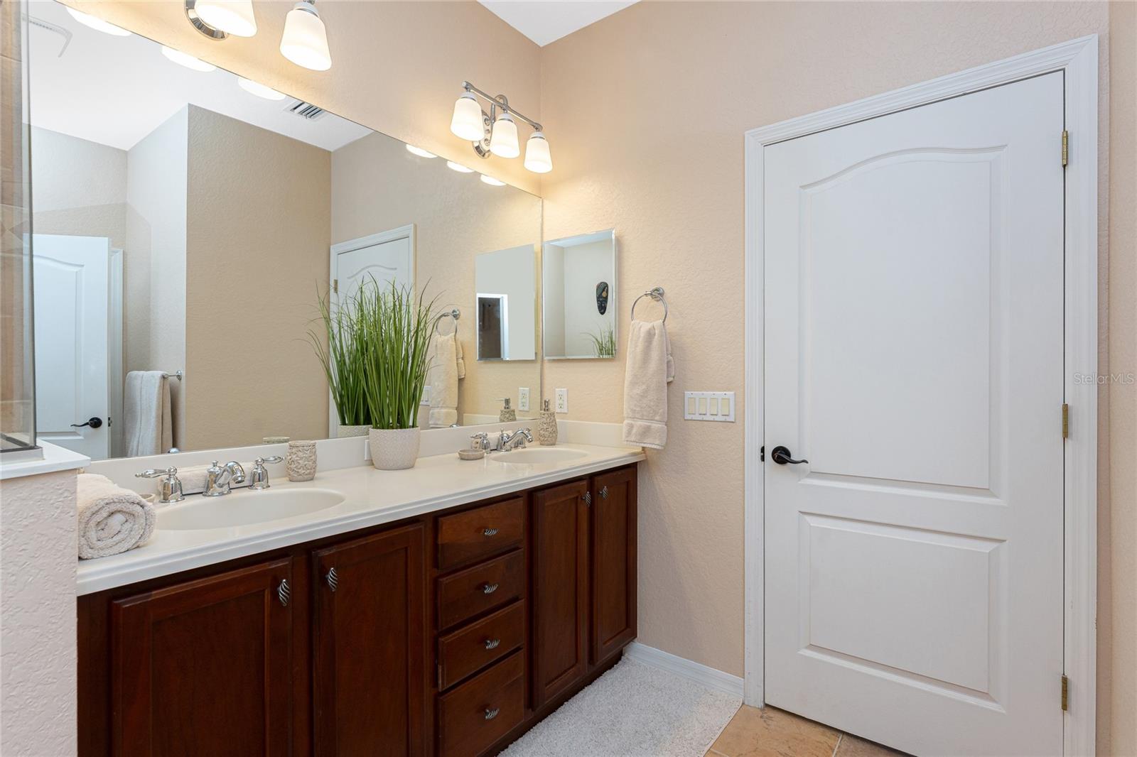 11343 DANCING RIVER DR