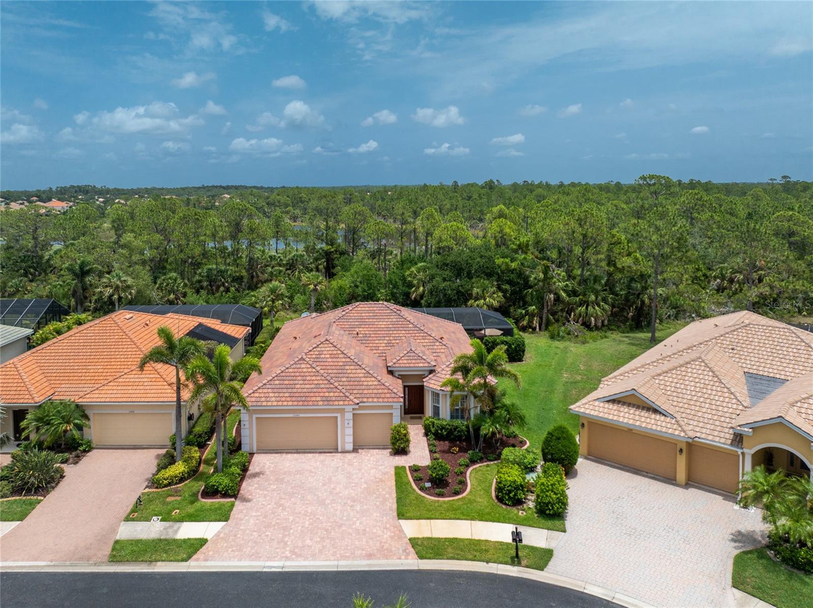 11343 DANCING RIVER DR