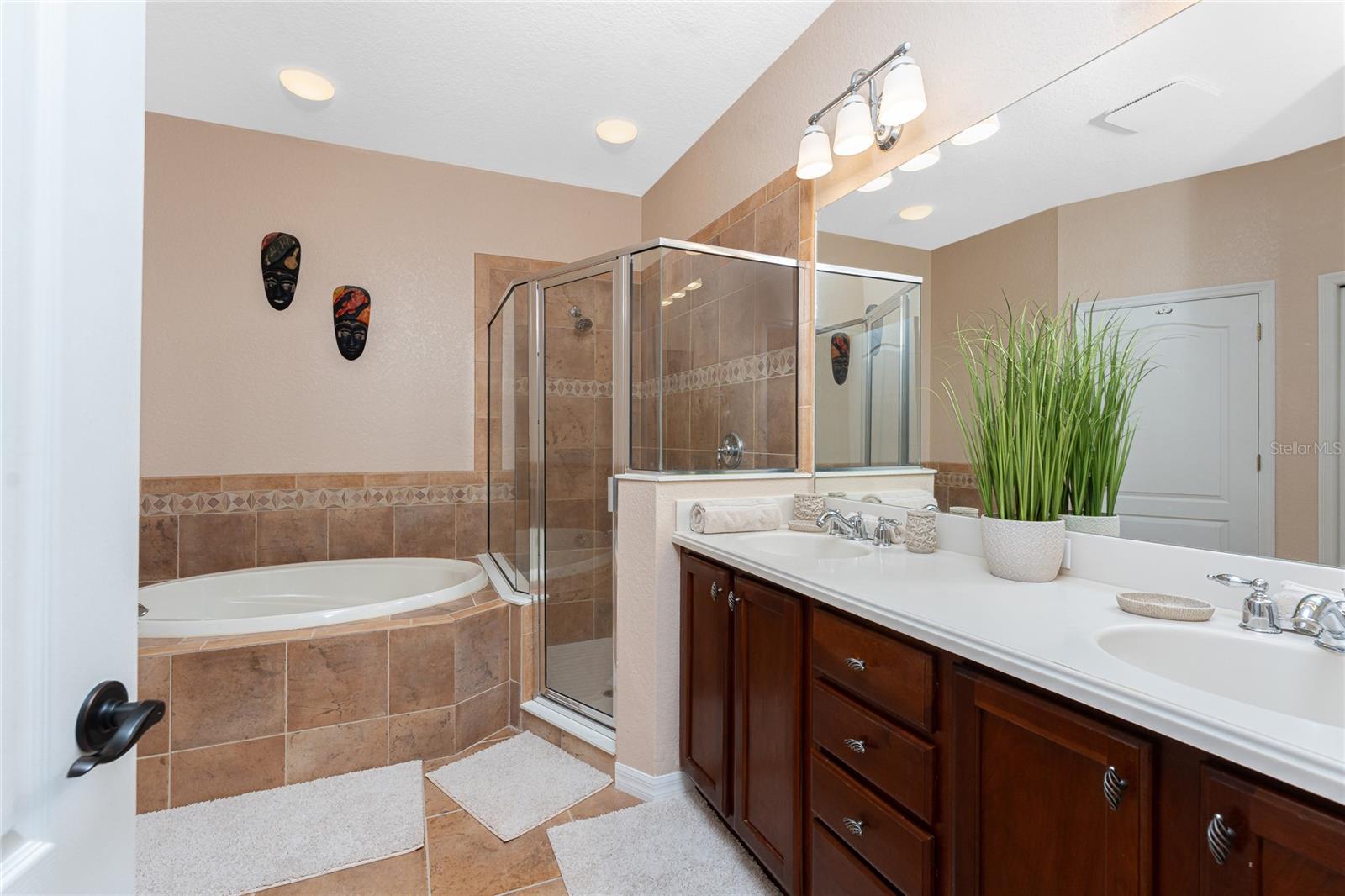 11343 DANCING RIVER DR