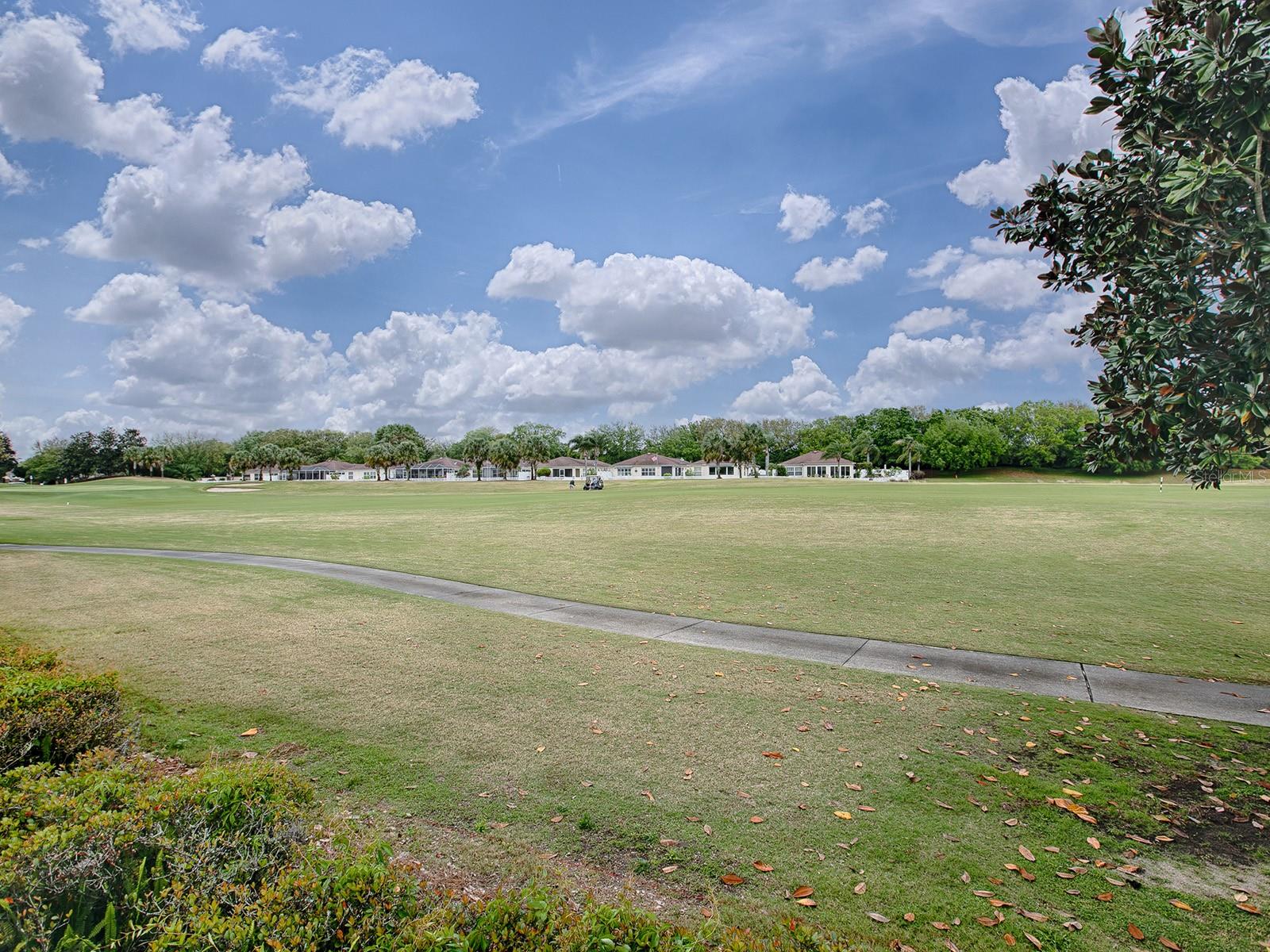 8883 SE 168TH TAILFER ST