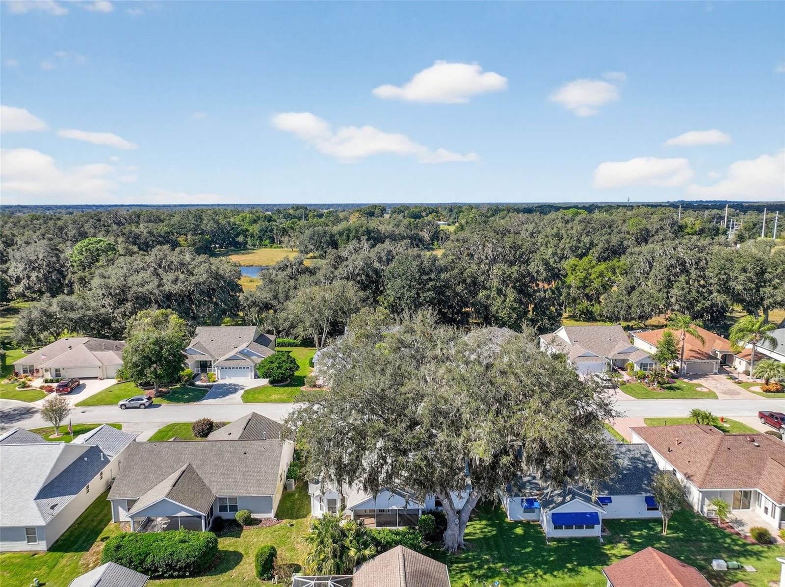 7168 SE 173RD ARLINGTON LOOP