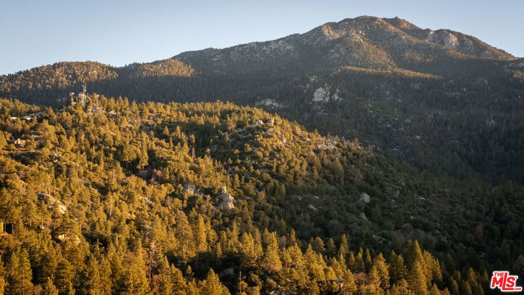 53250 Big Rock Drive