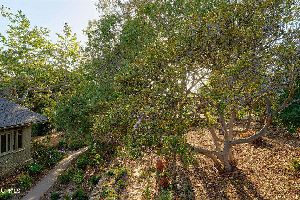 402 Lynn Drive