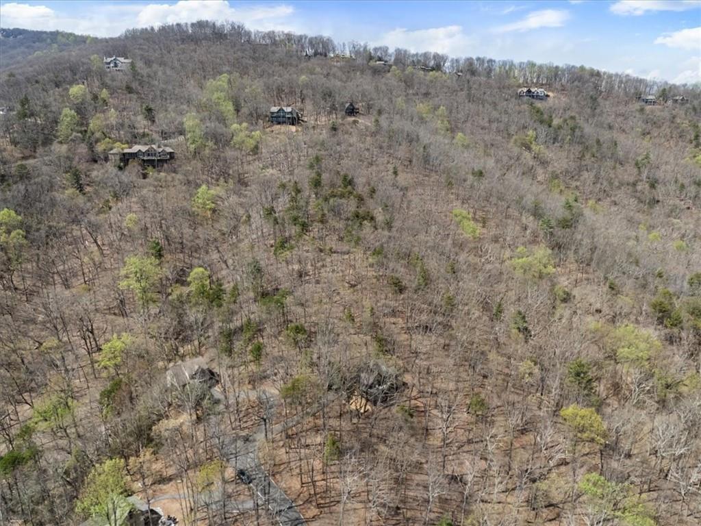 248 Lone Wolf Trail