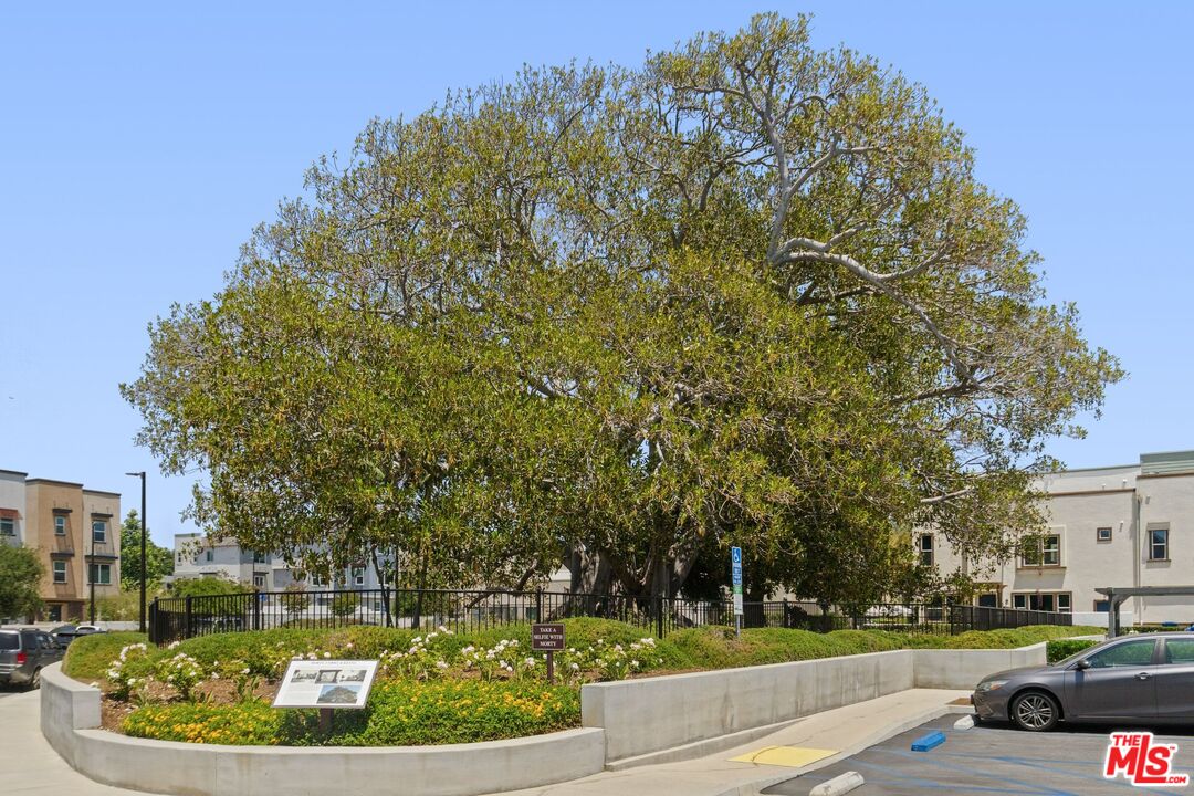 549 Daniel Freeman Cir