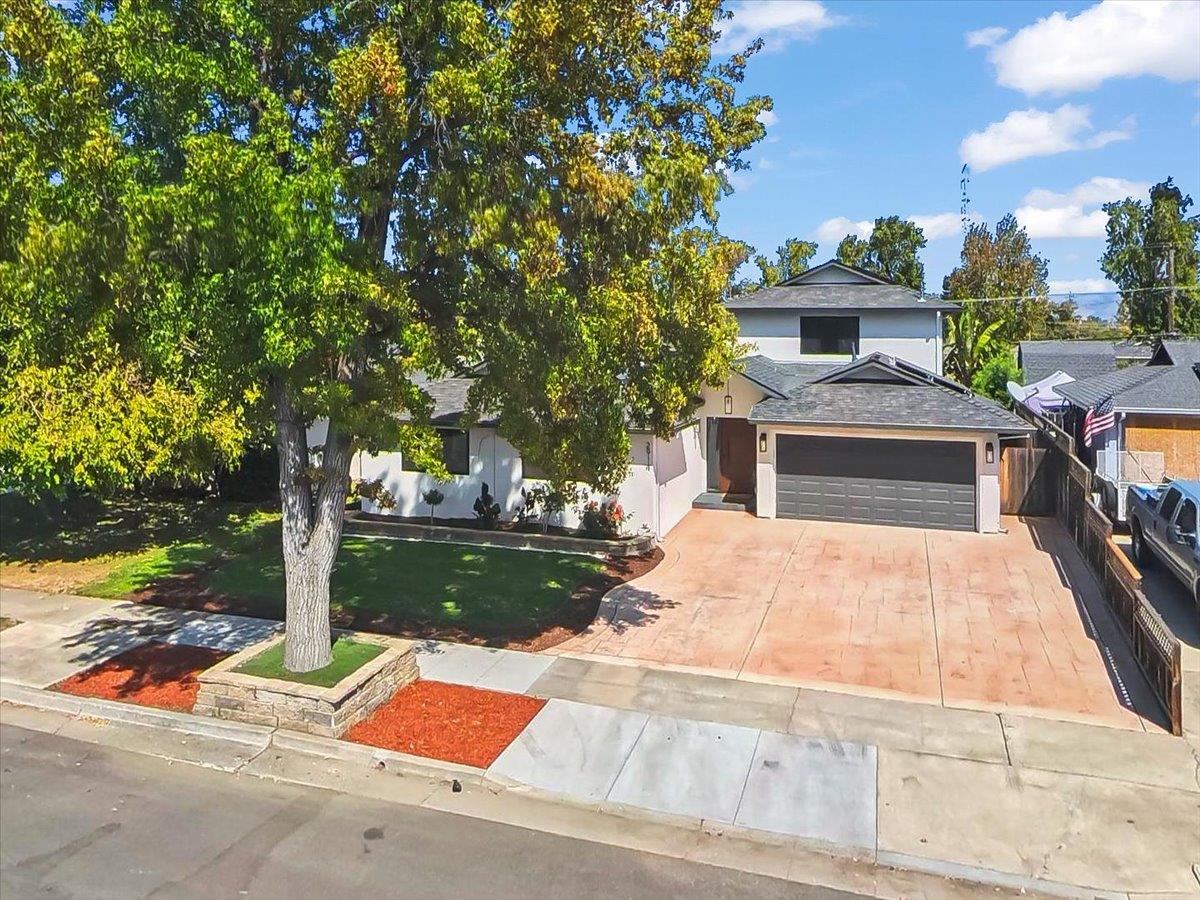 Single-story home with a wide driveway, attached garage, and mature tree in the front yard.