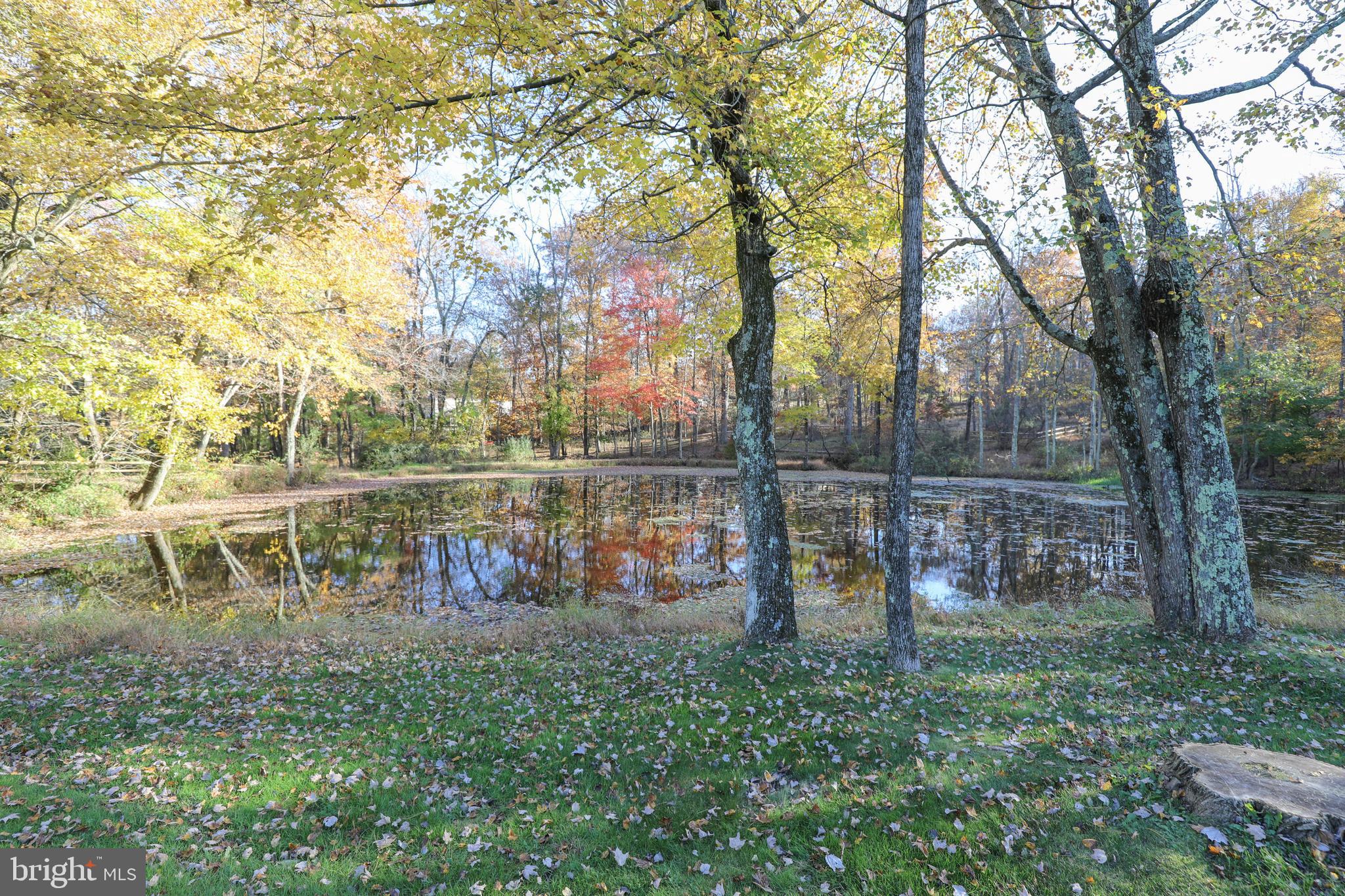 107 Whisper Wood COURT