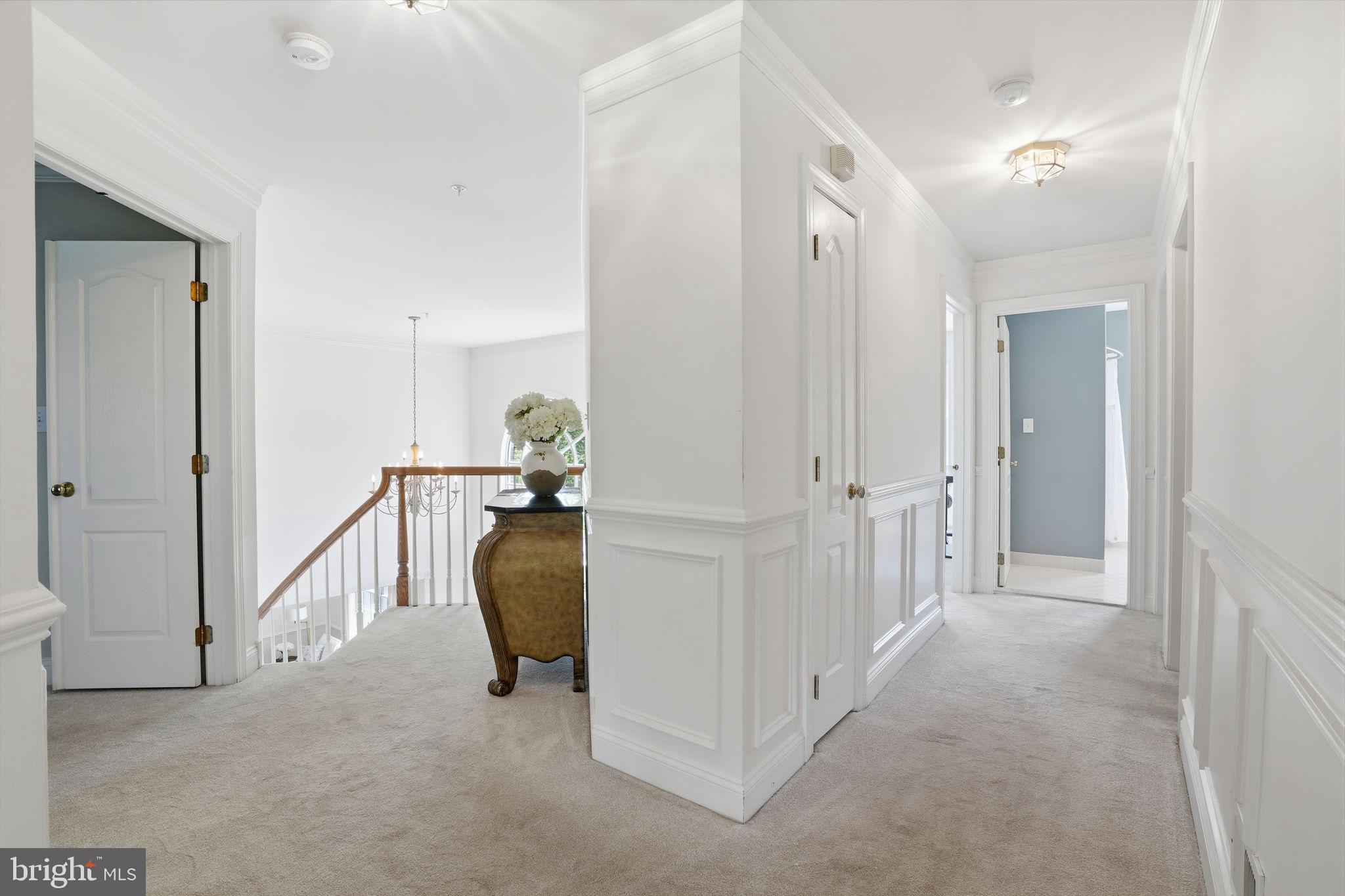 53 ALEXANDERS COURT