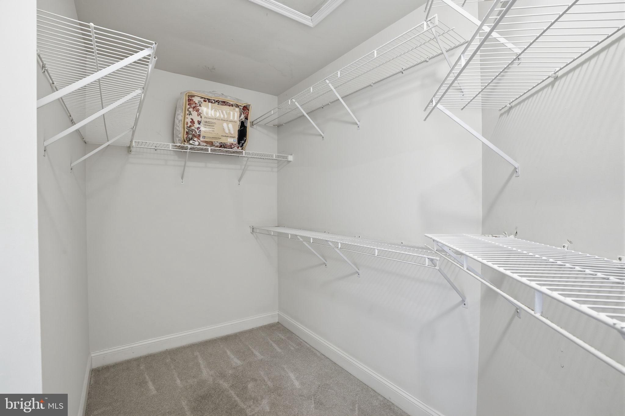 53 ALEXANDERS COURT