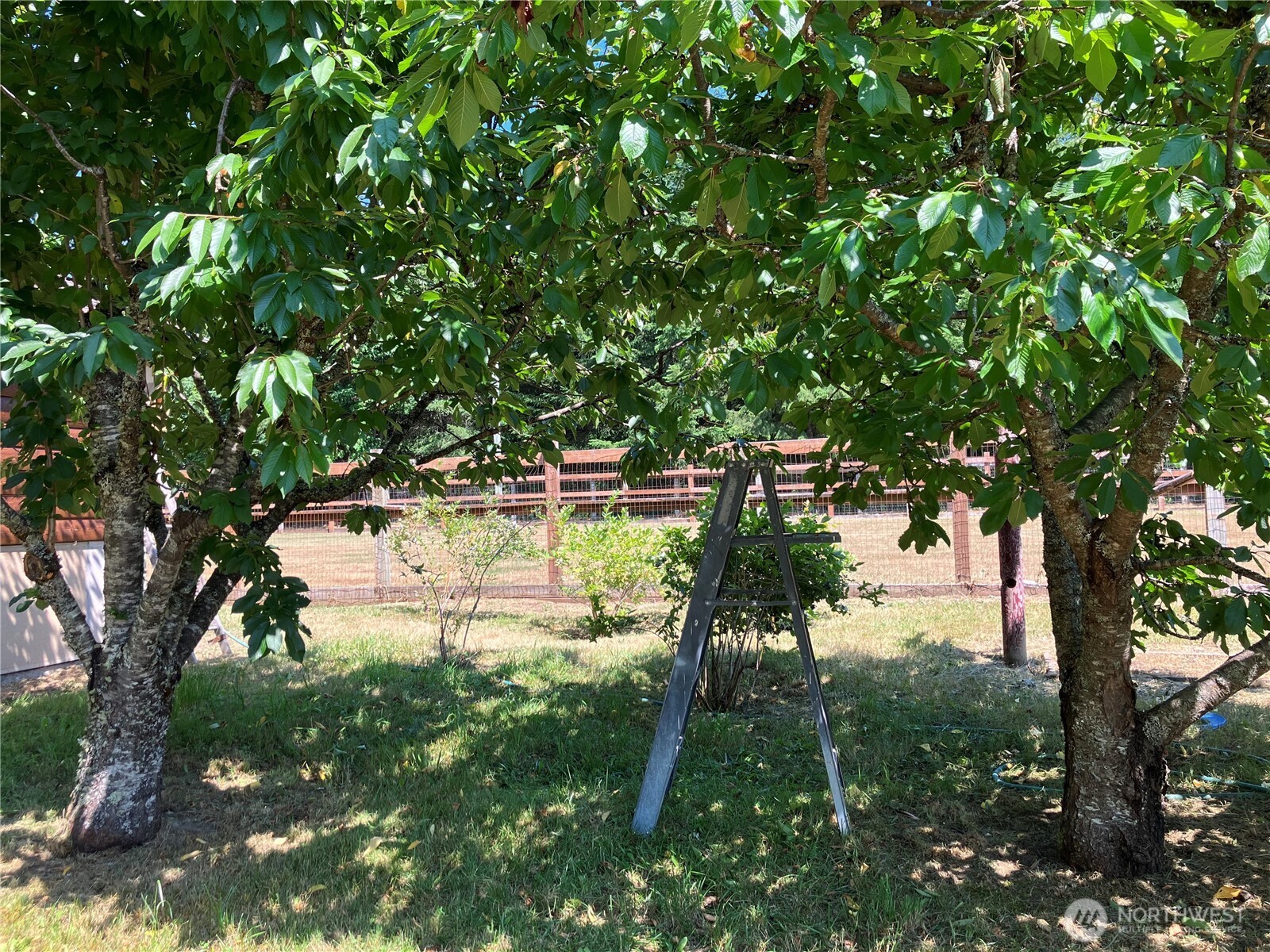 47308 323rd Avenue SE