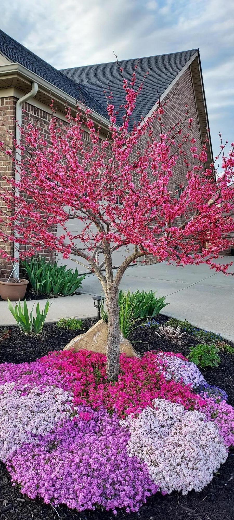 912 Falling Waters Lane