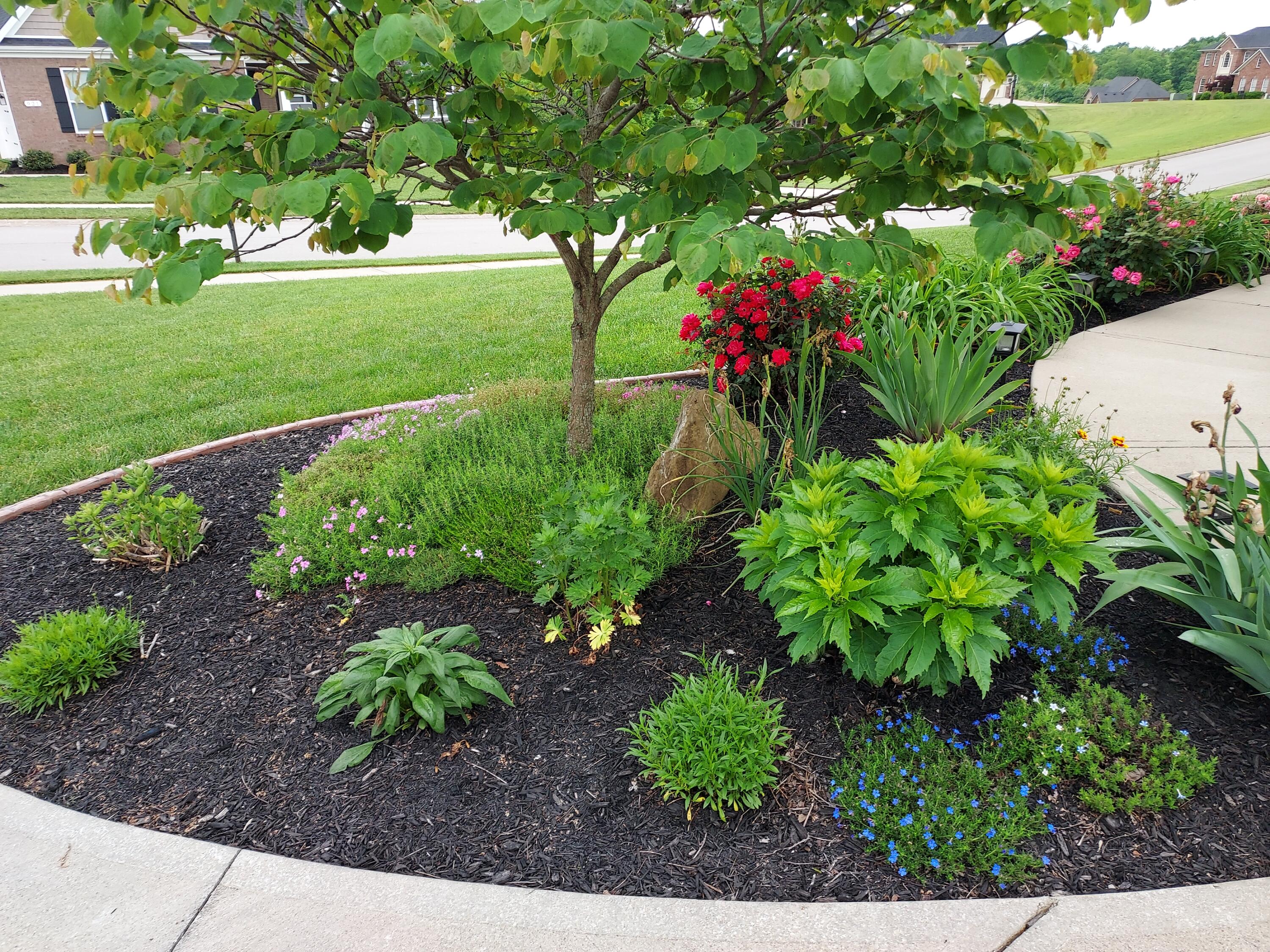 912 Falling Waters Lane