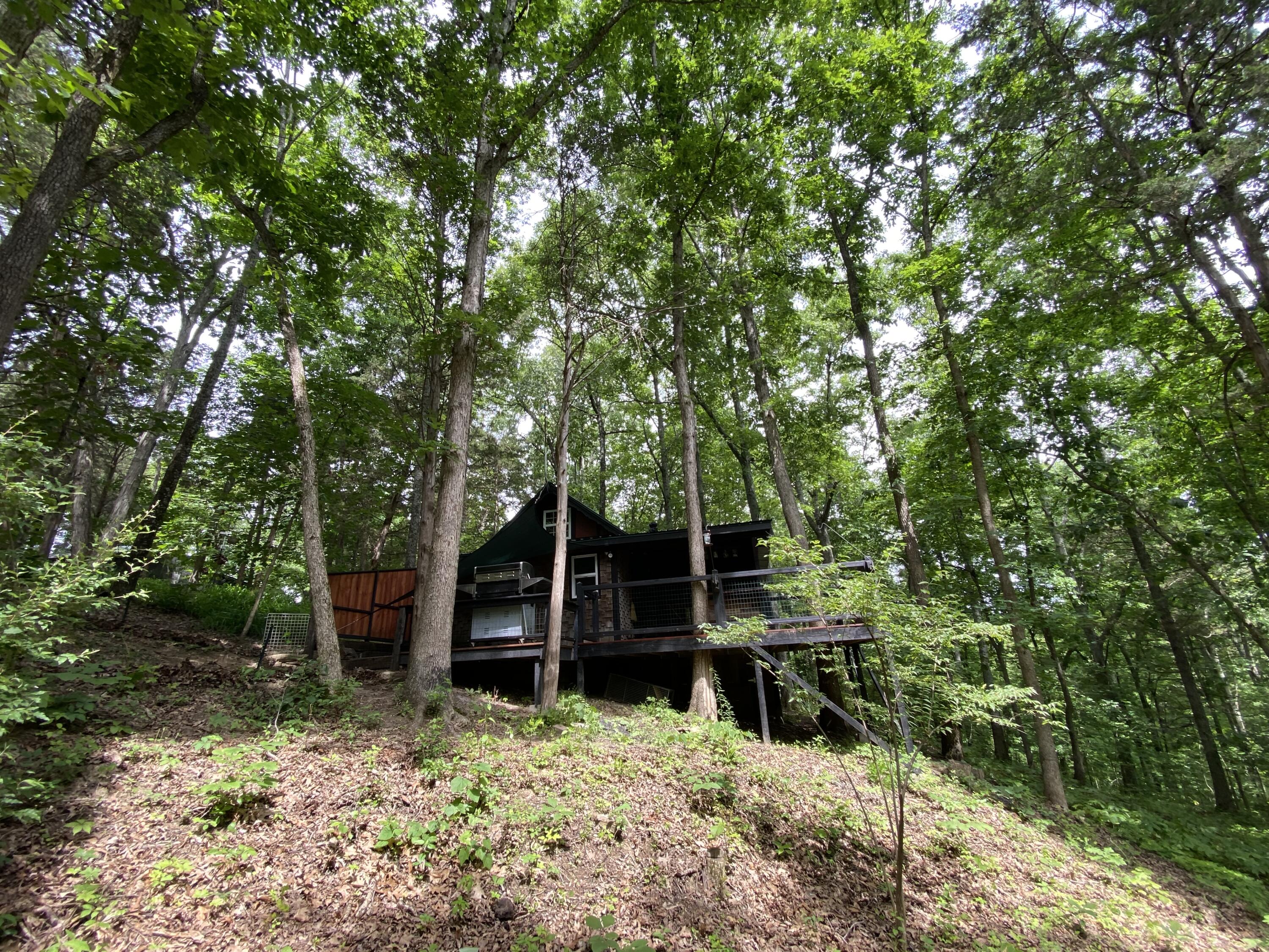 1030 Mudlick Road