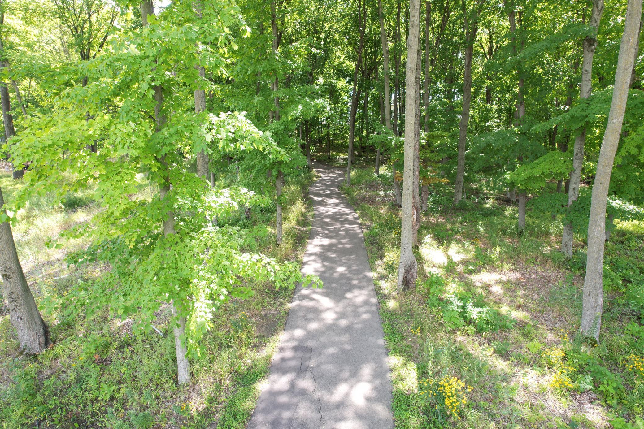 4617 Wolfberry Curve