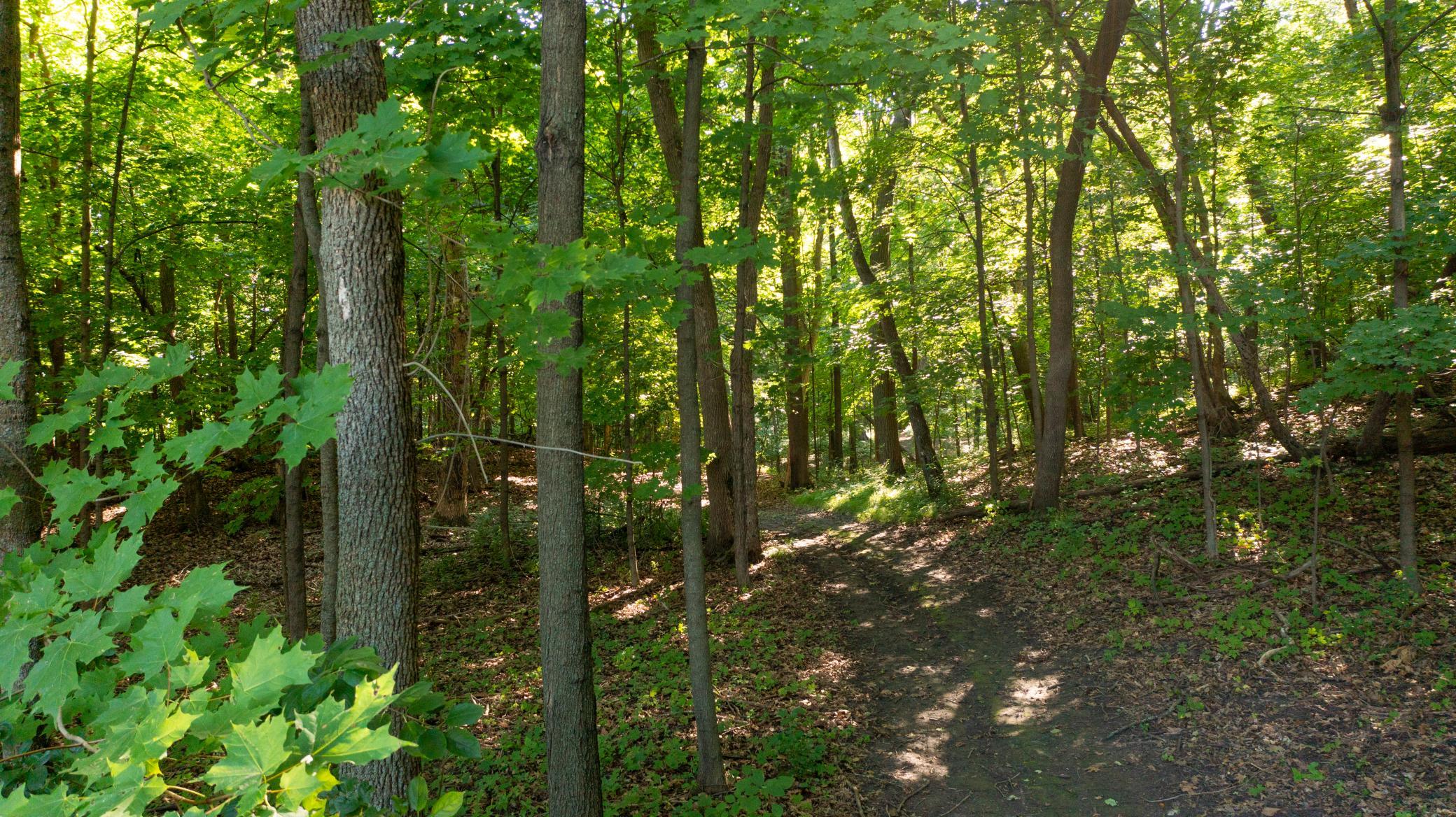 1625 Blackfoot Trail