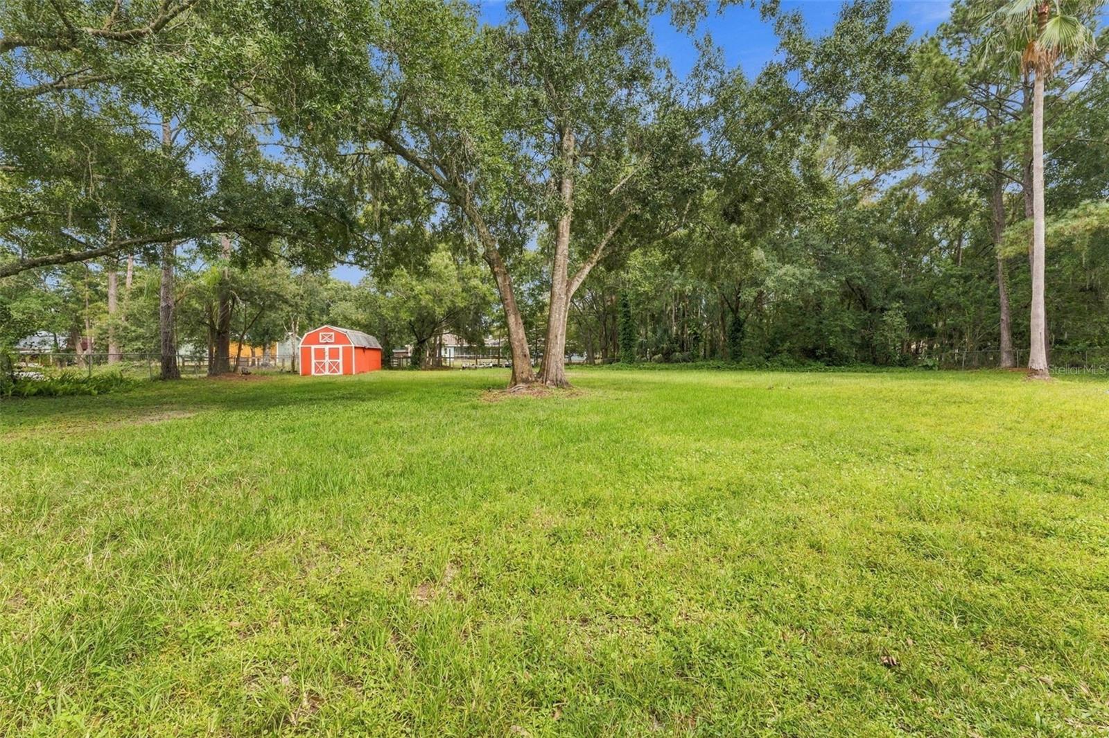 Grassy backyard with mature trees and a small red storage shed.
