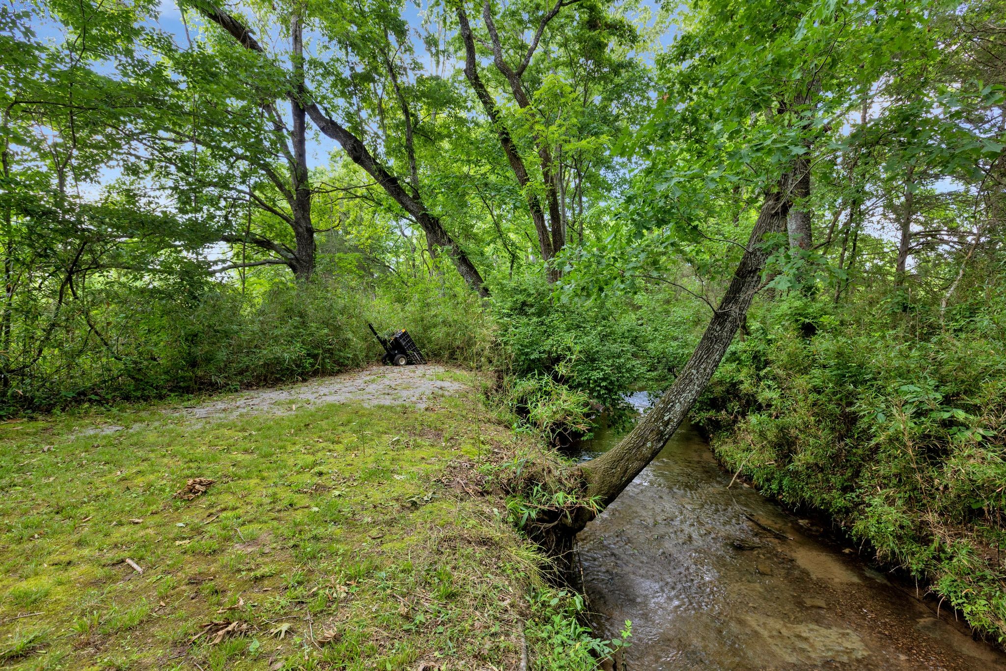 1004 Watkins Creek Dr