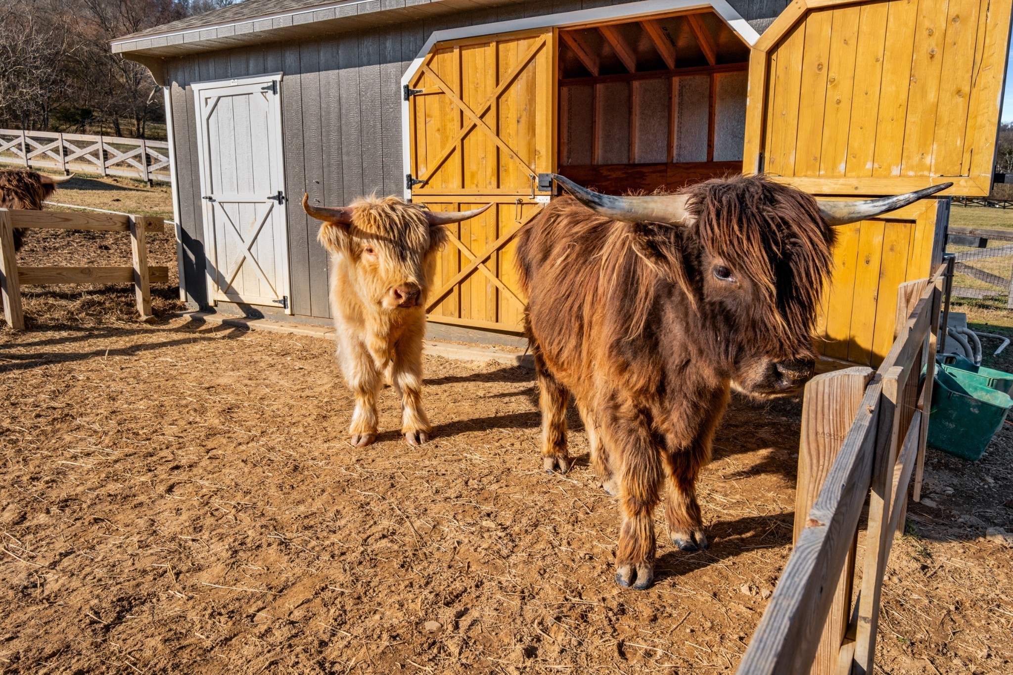 4514 Harpeth School Rd