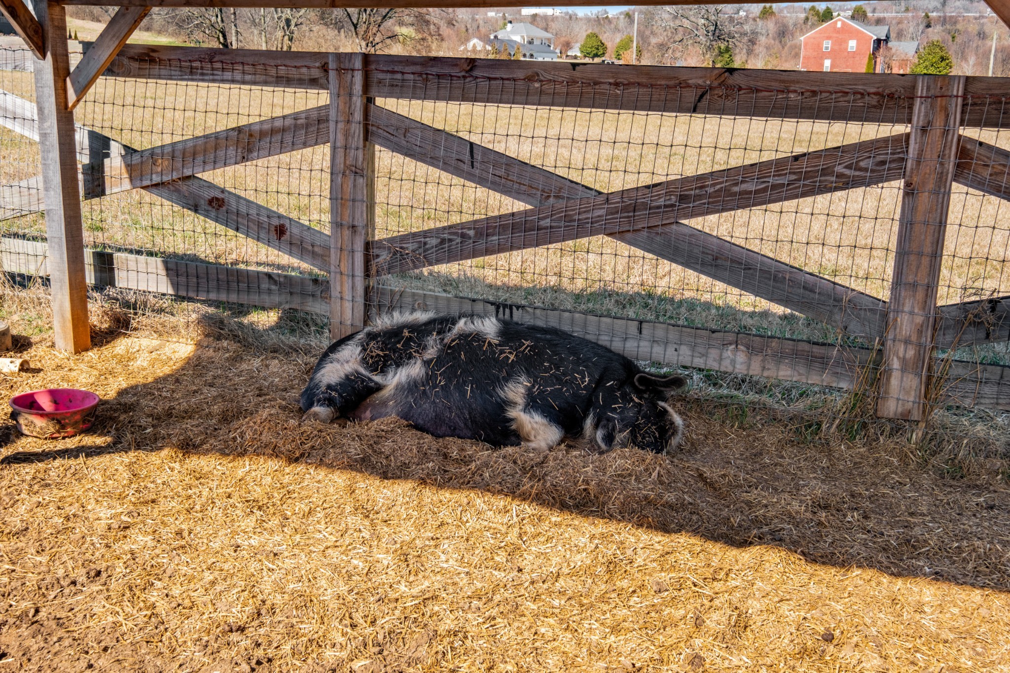 4514 Harpeth School Rd