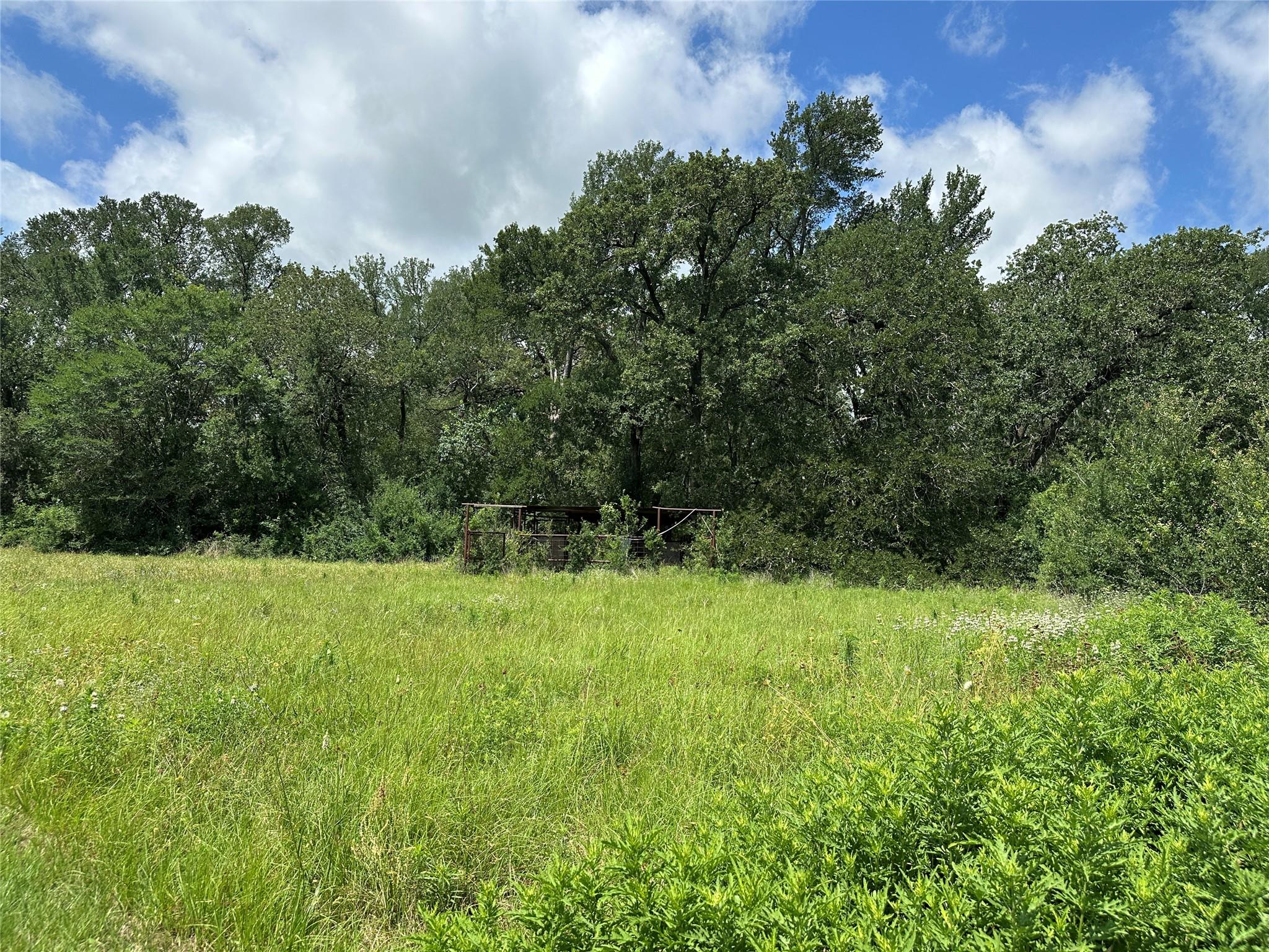 18493 Fm 1155 Rd E