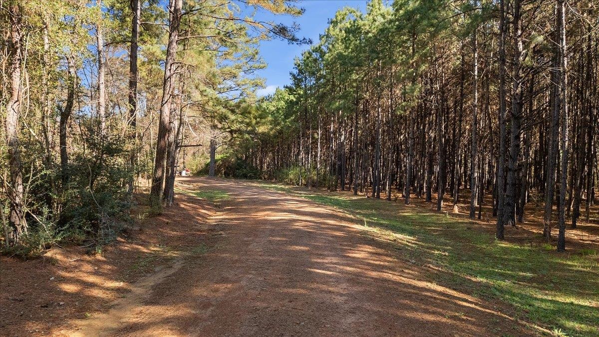 6990 Pin Oak