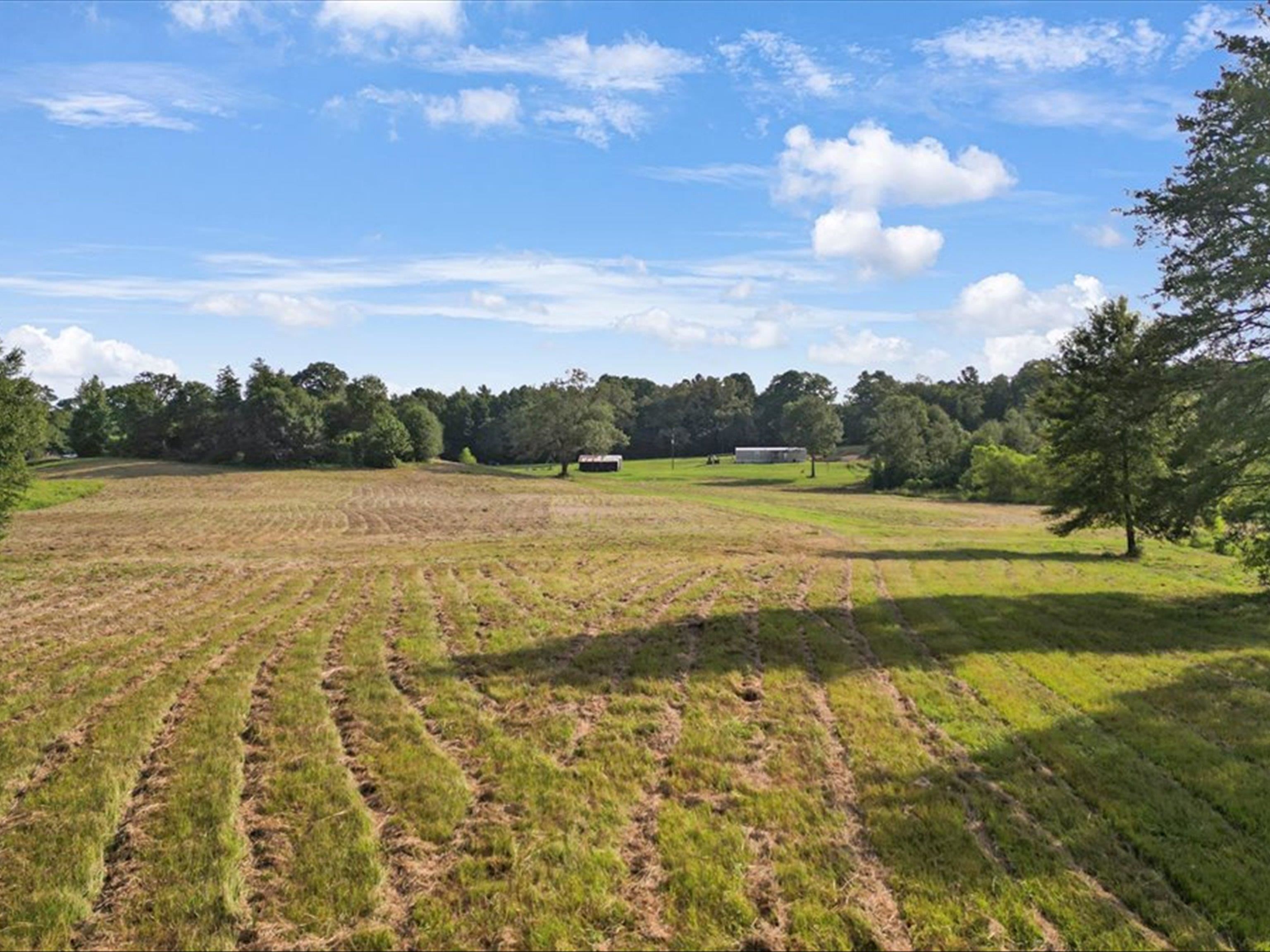 67 Acres S Live Oak Rd