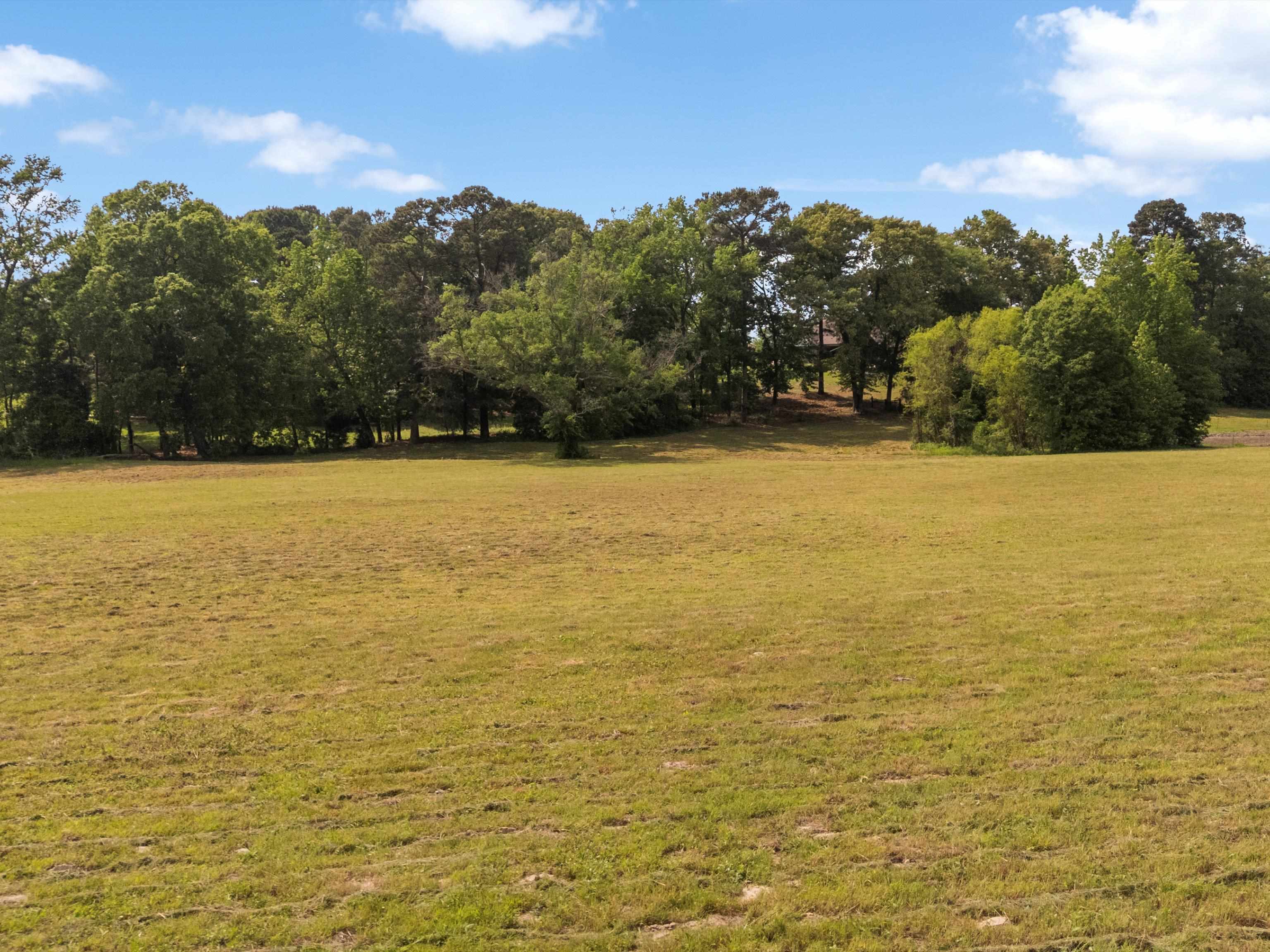 67 Acres S Live Oak Rd