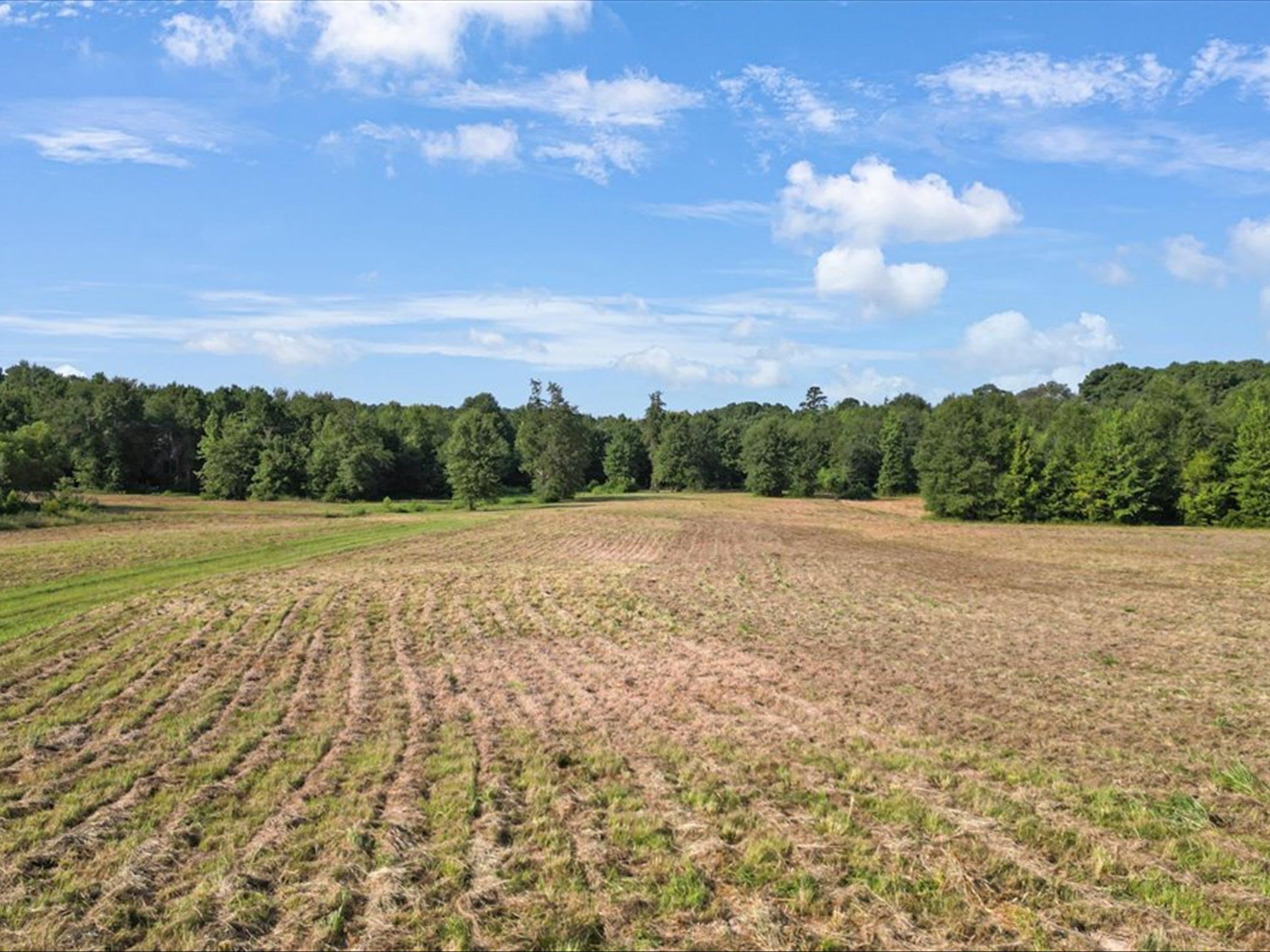 67 Acres S Live Oak Rd