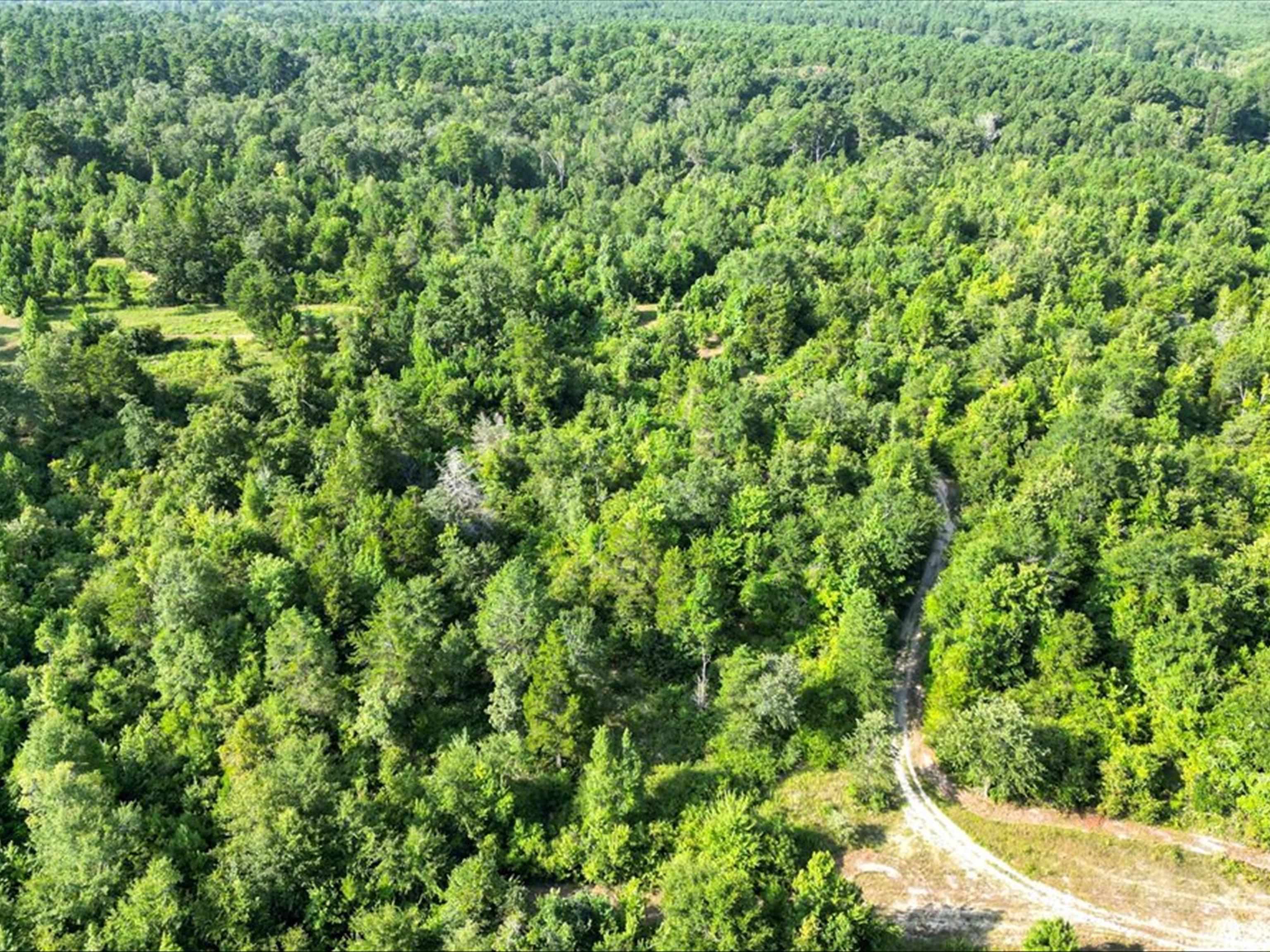 67 Acres S Live Oak Rd