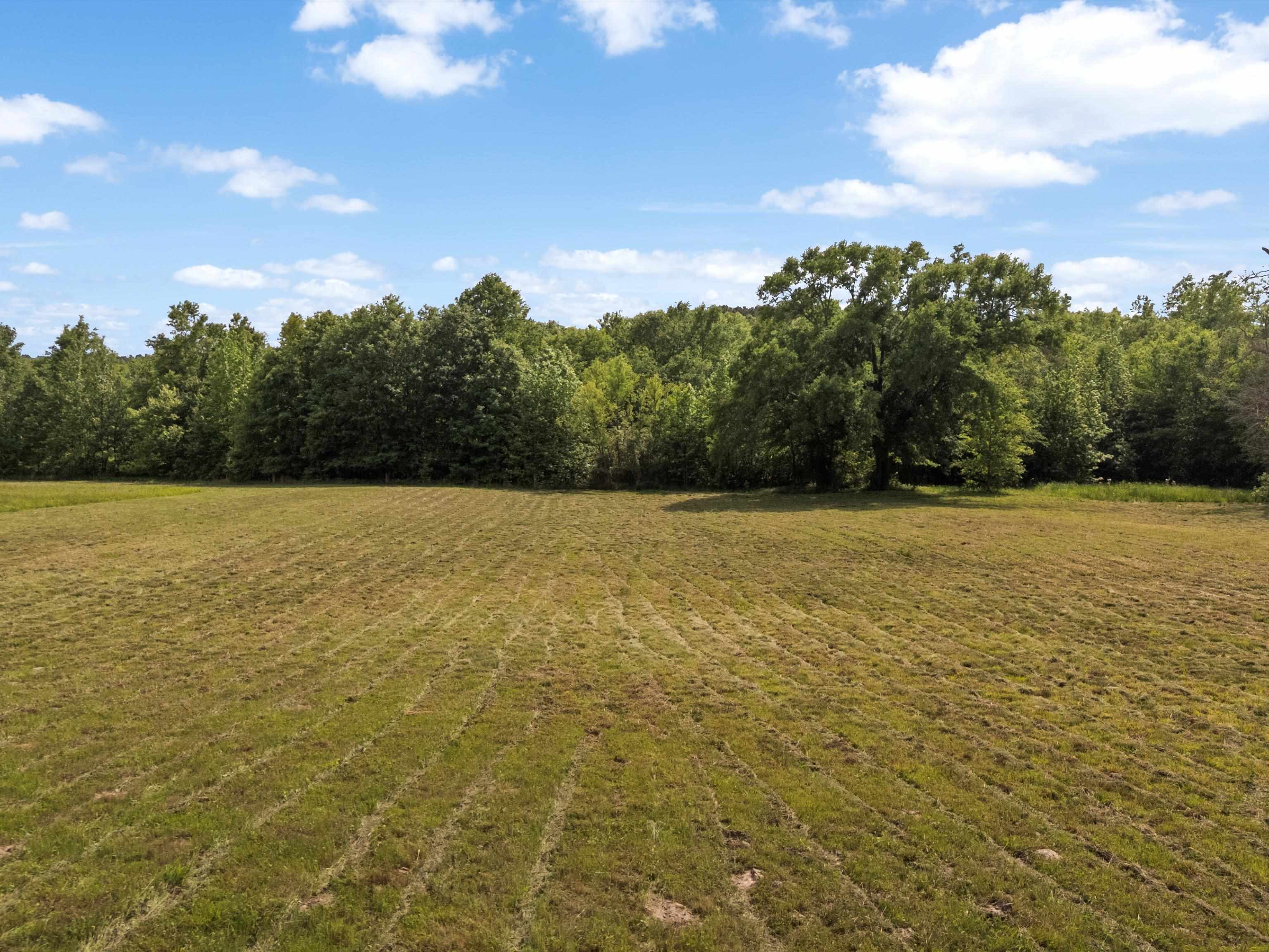 67 Acres S Live Oak Rd
