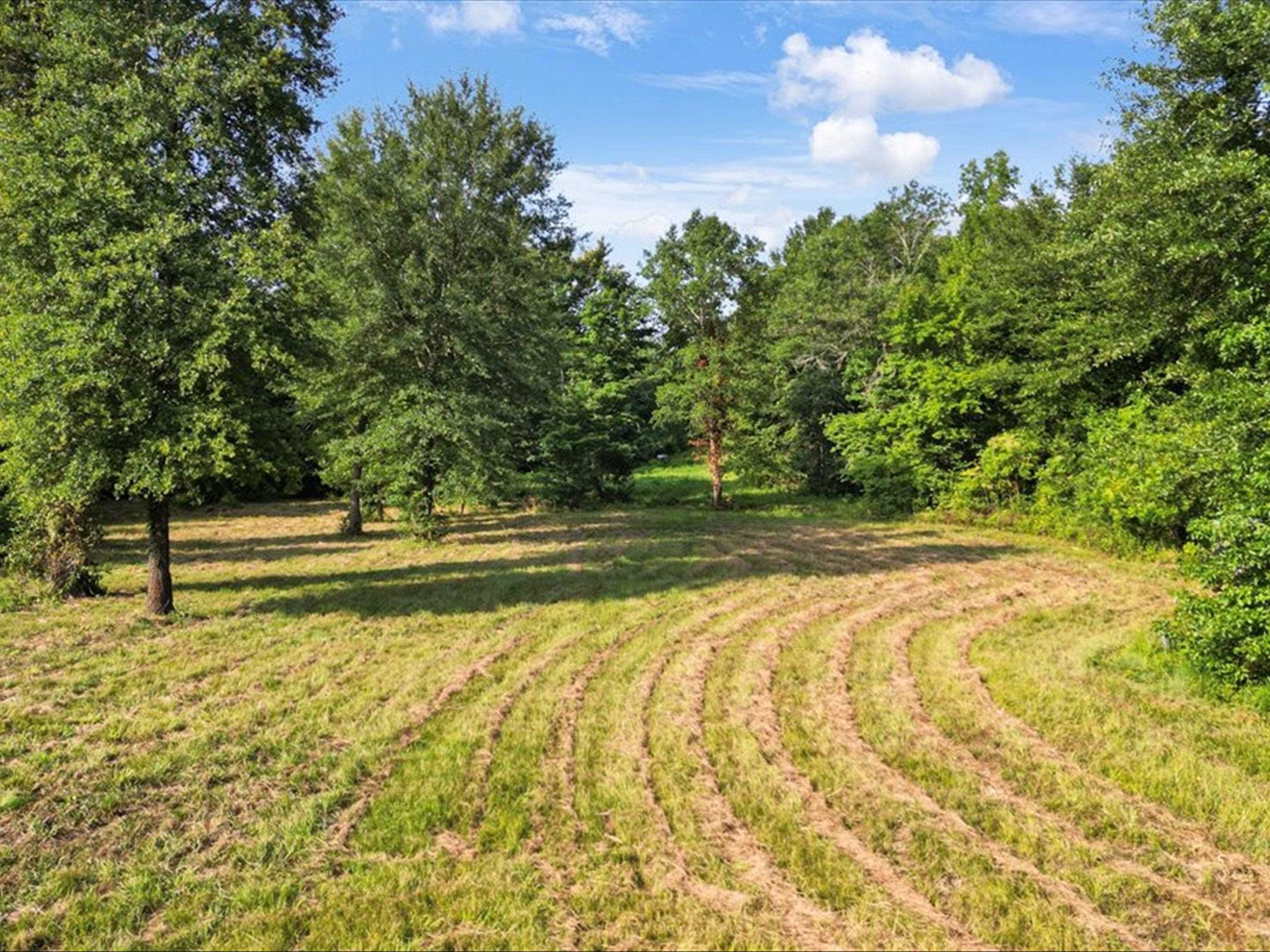 67 Acres S Live Oak Rd