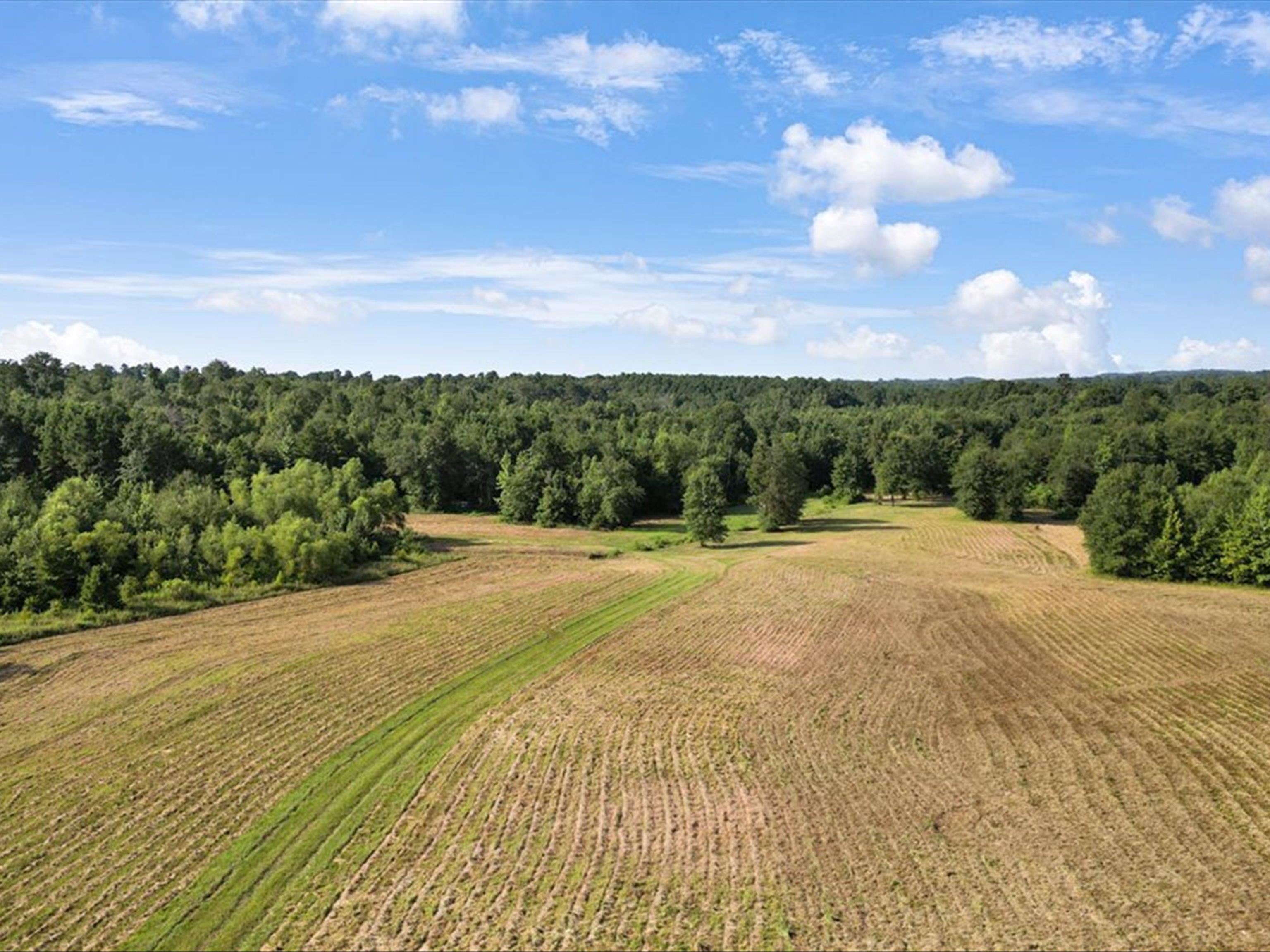 67 Acres S Live Oak Rd