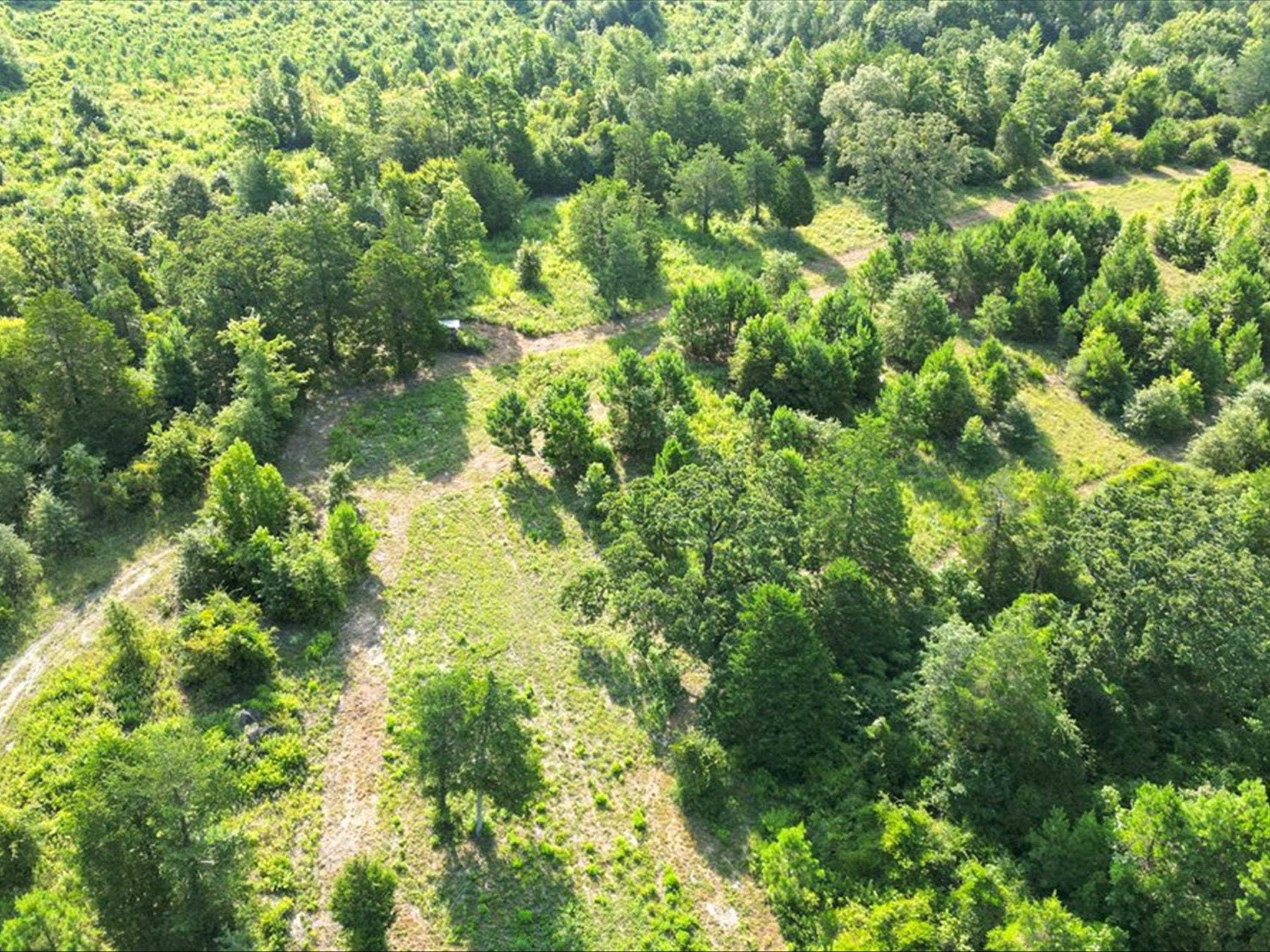 67 Acres S Live Oak Rd