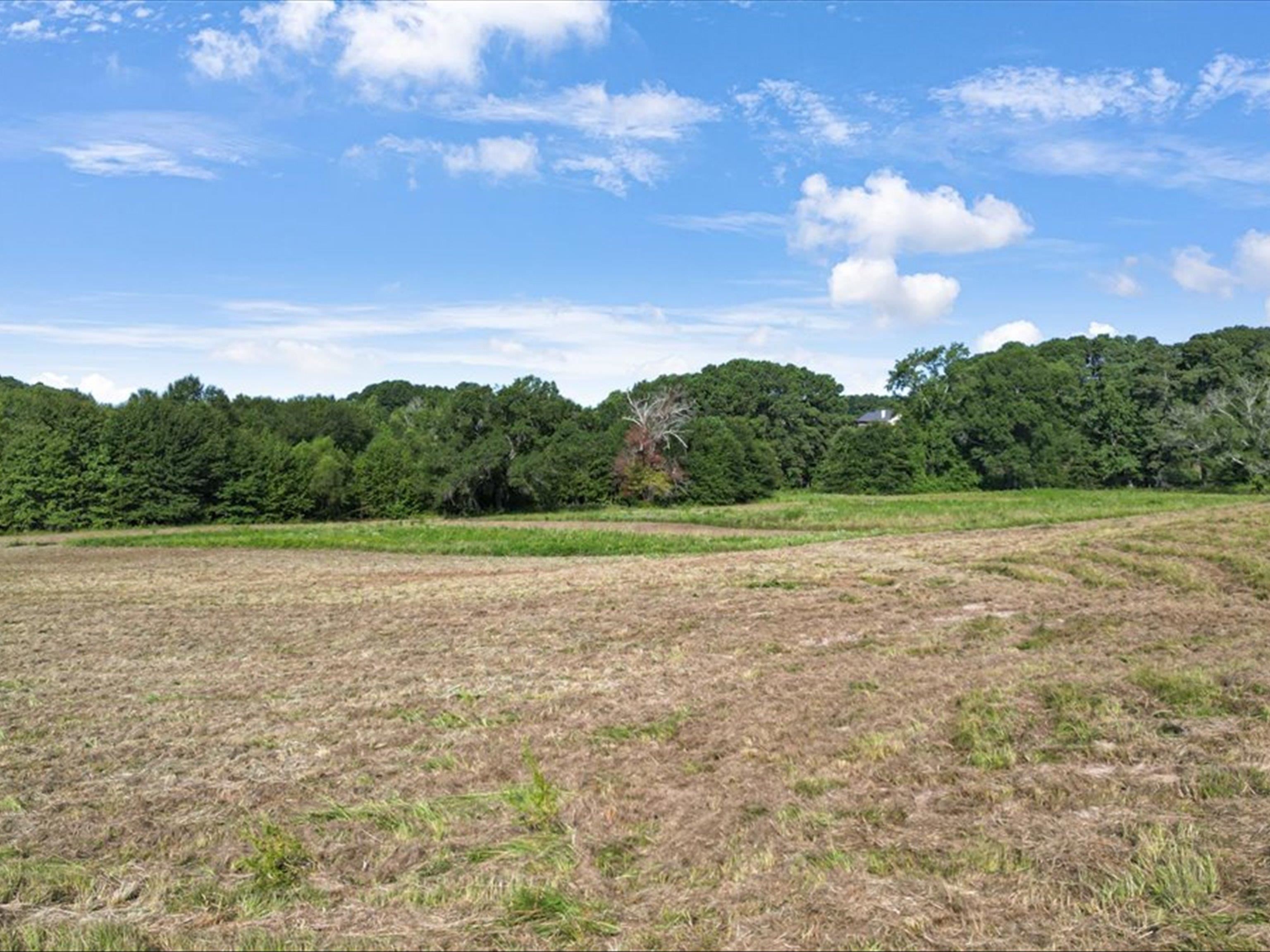67 Acres S Live Oak Rd