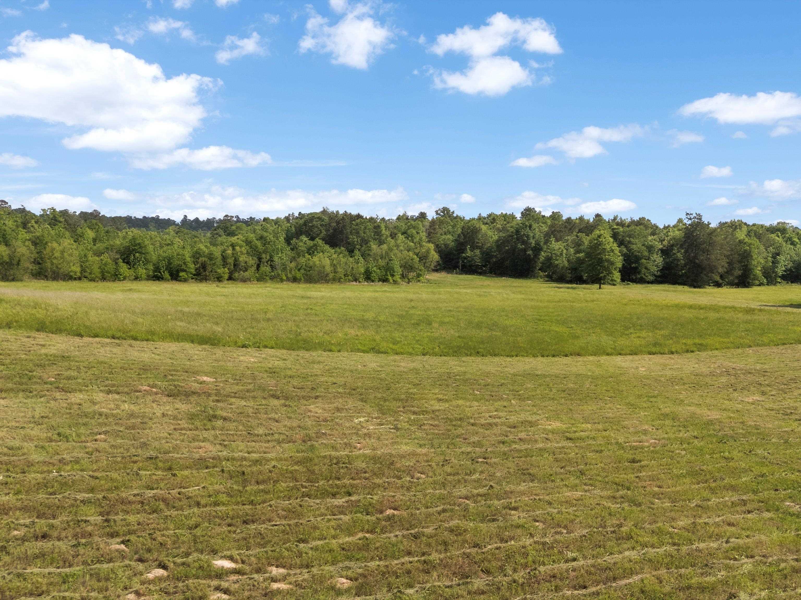 67 Acres S Live Oak Rd