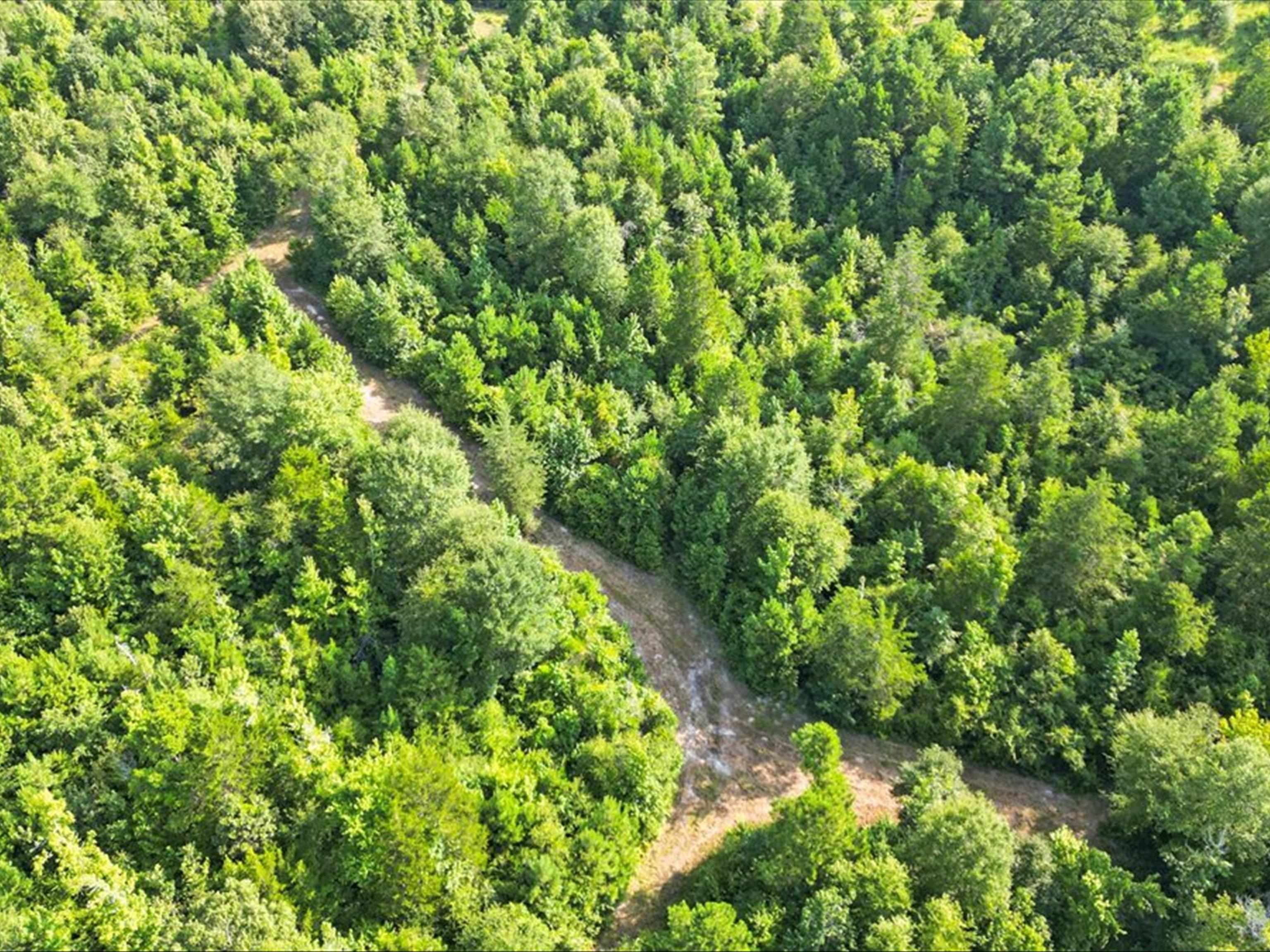 67 Acres S Live Oak Rd