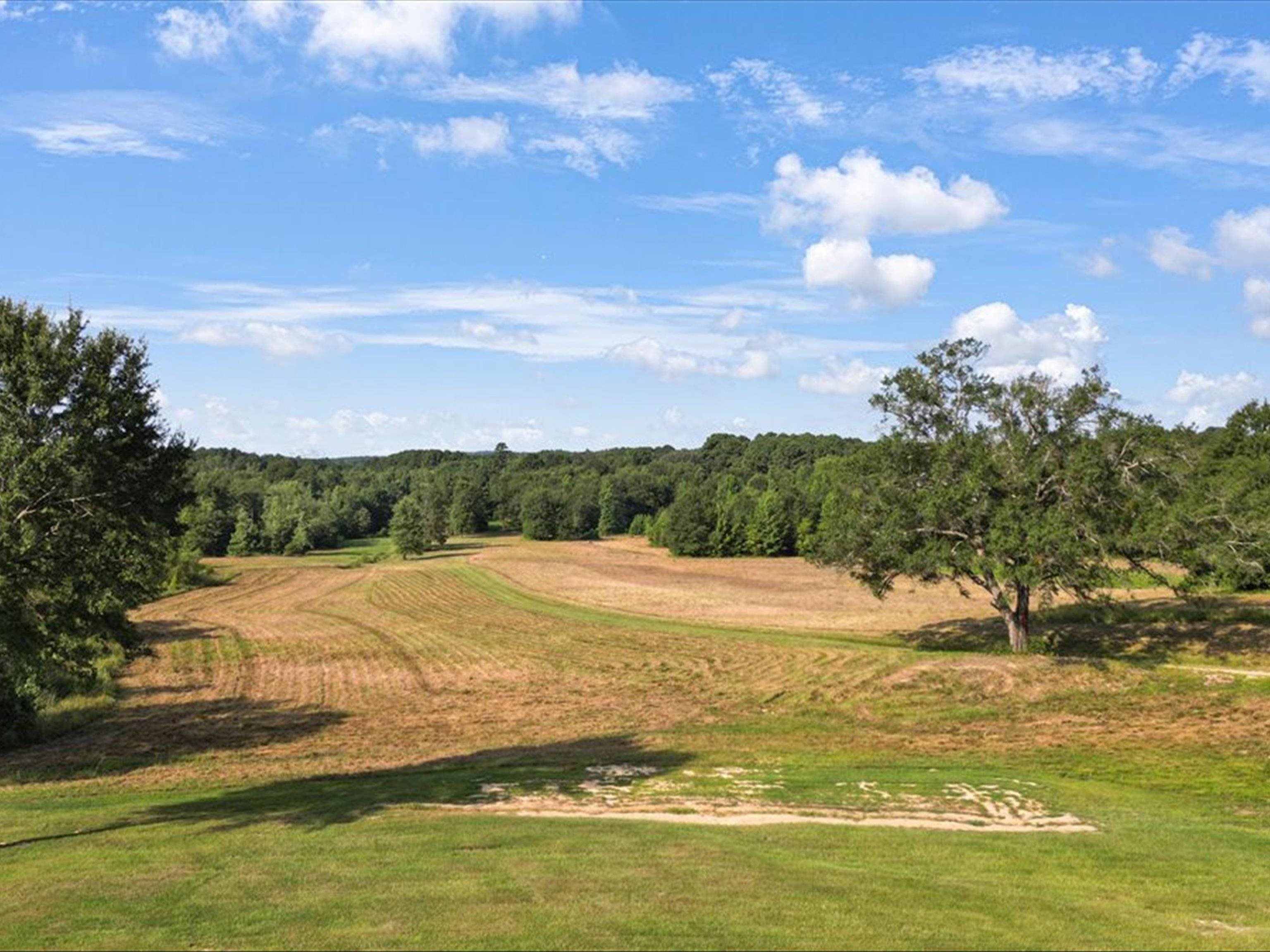 67 Acres S Live Oak Rd