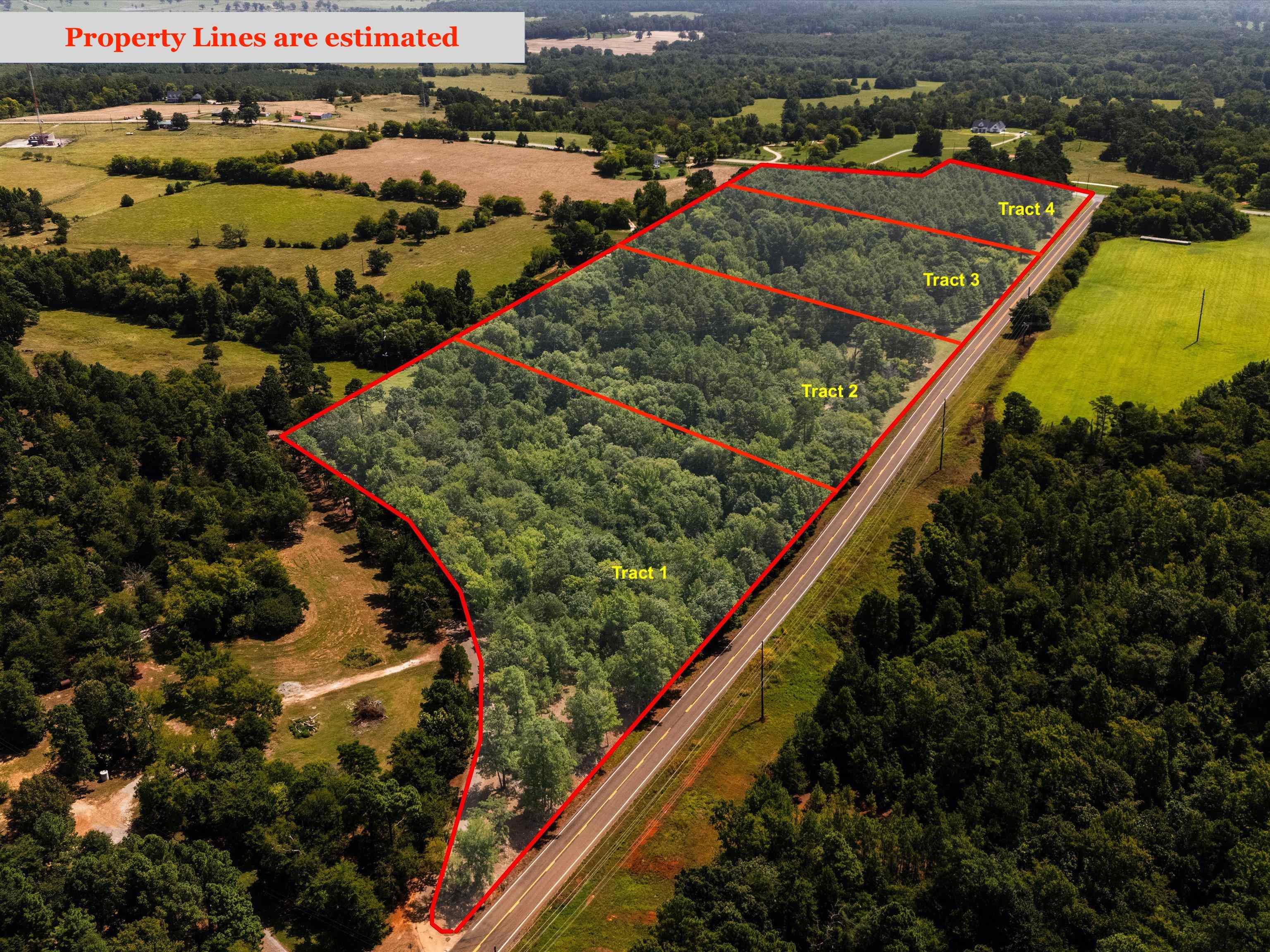 Tract 1 Slash pine