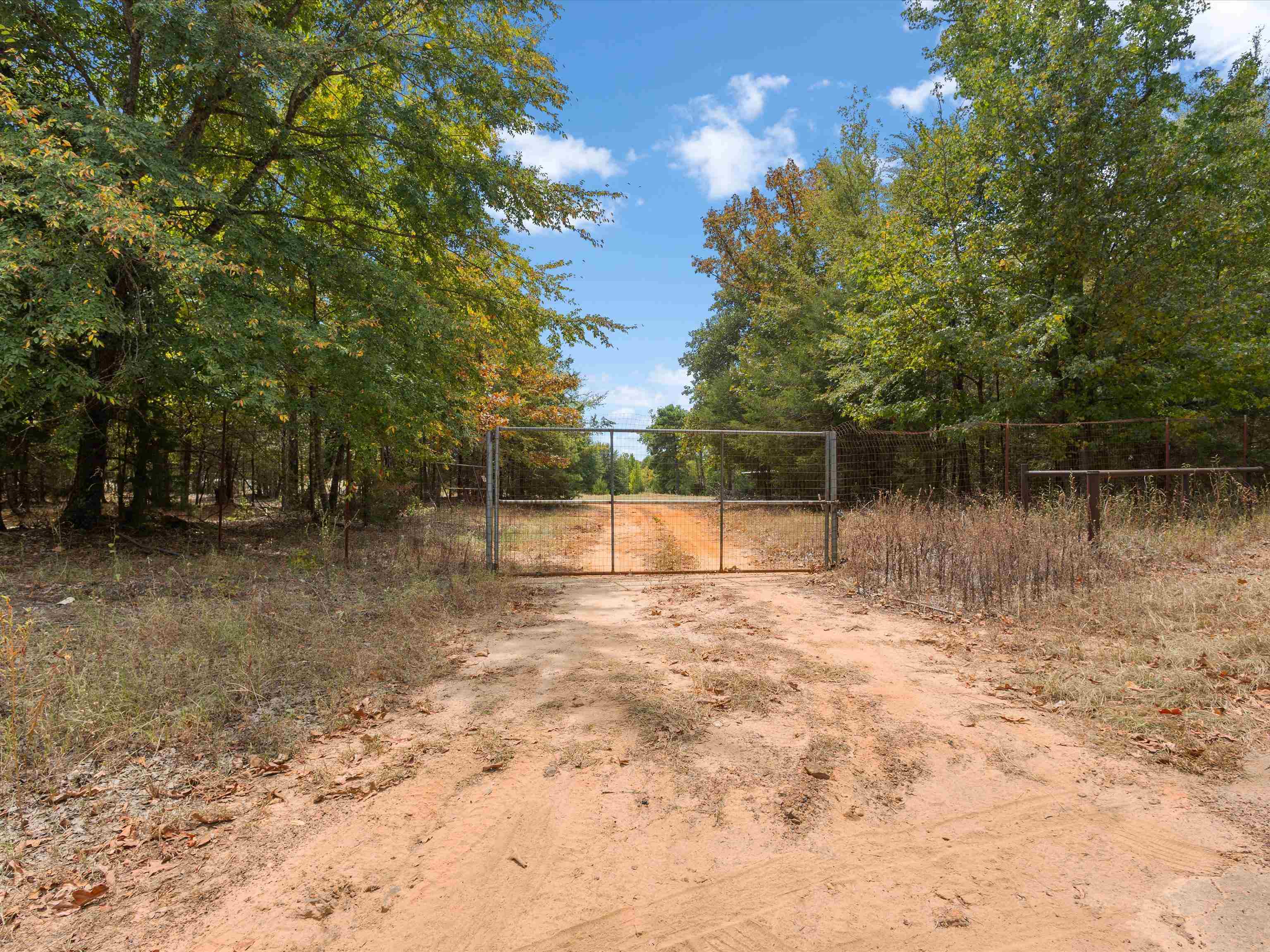 TBD Silk Tree Rd
