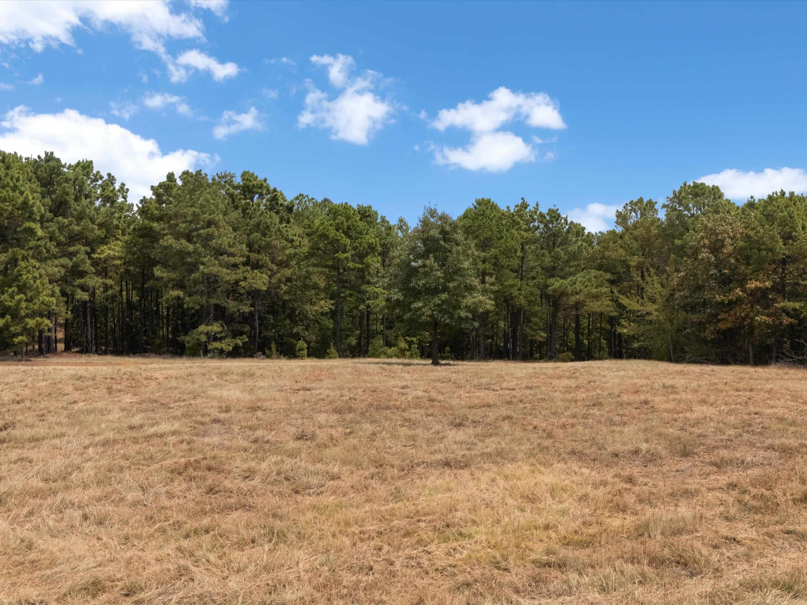 TBD Silk Tree Rd