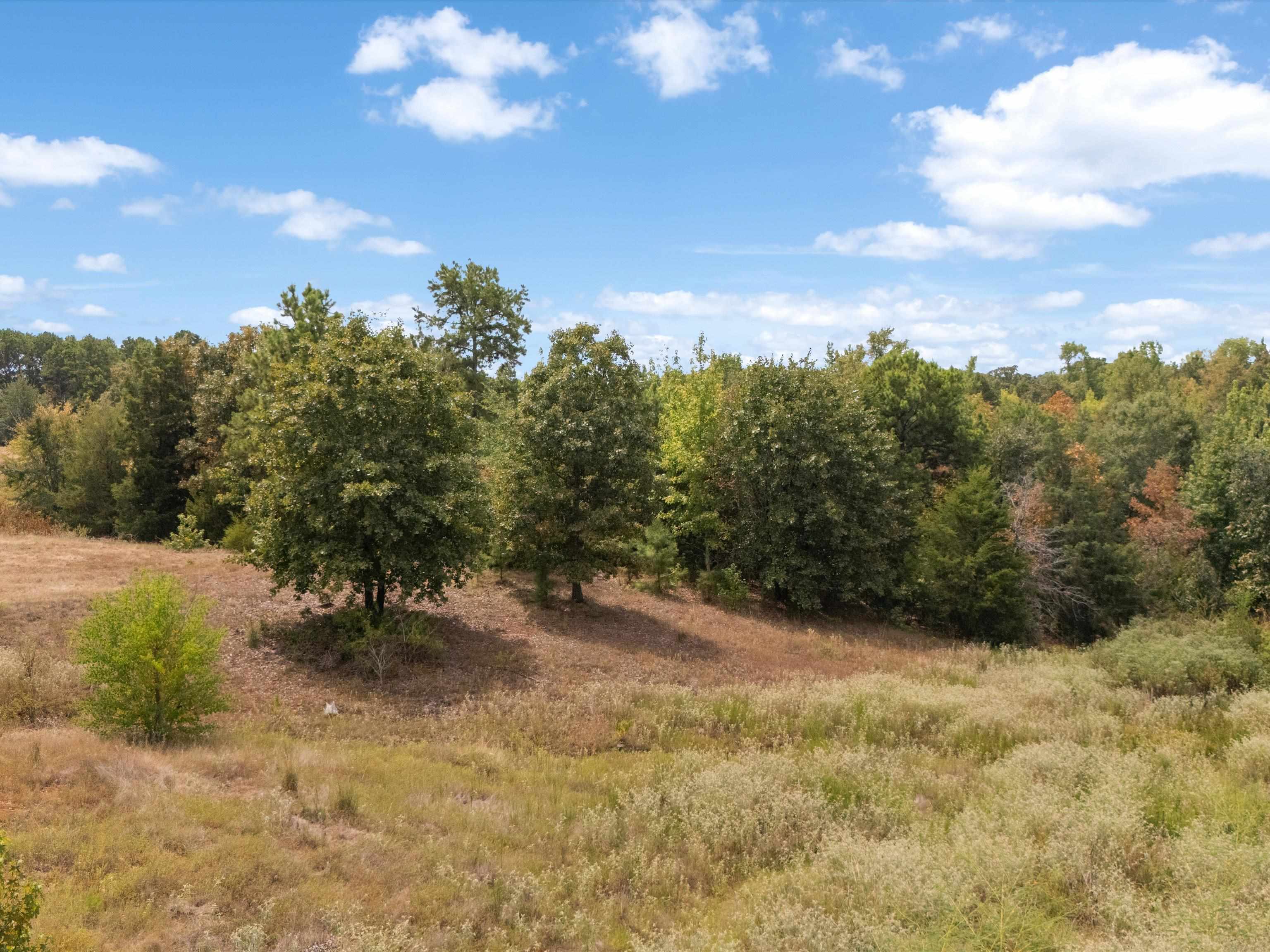 TBD Silk Tree Rd